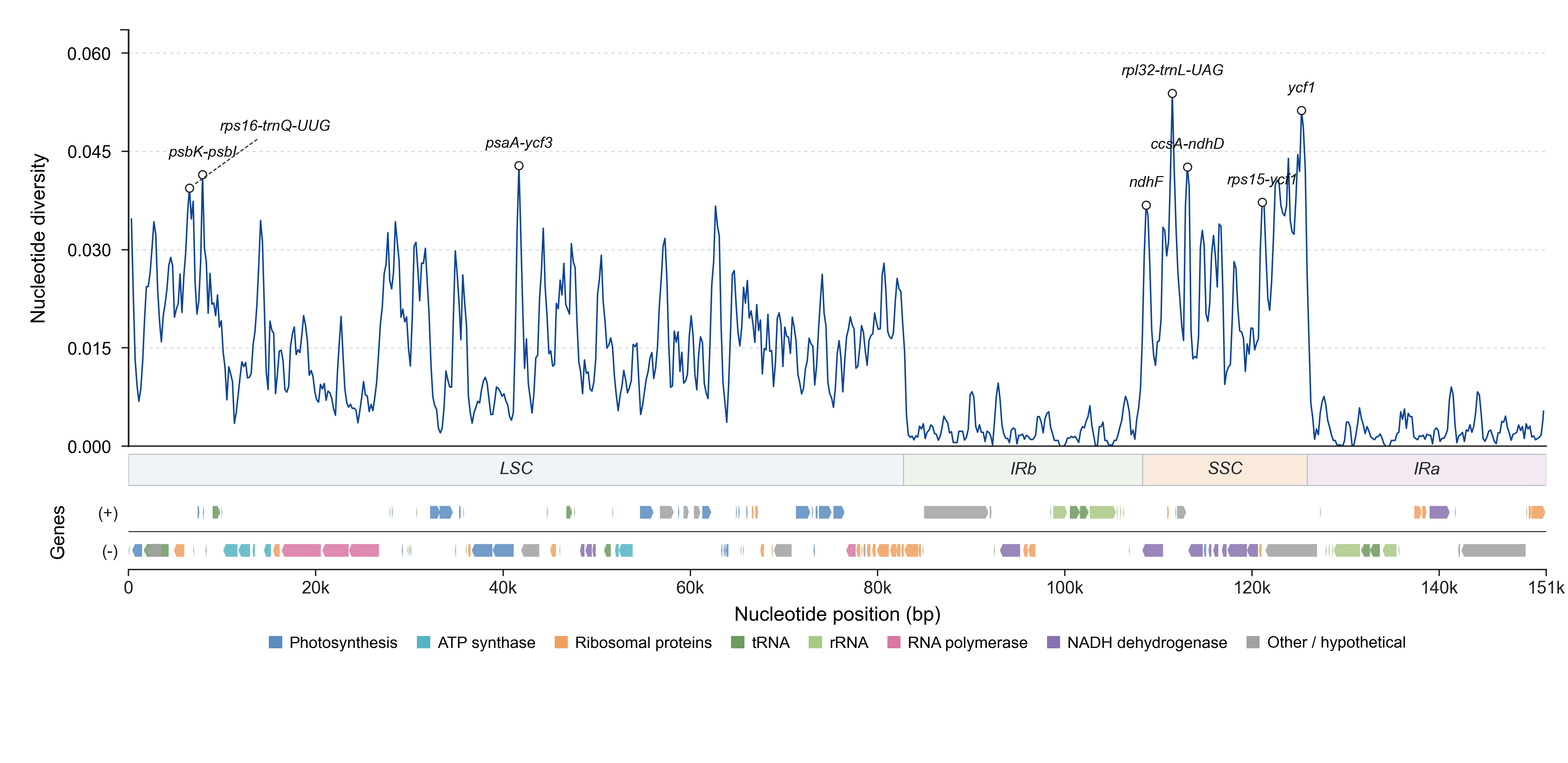 Example nucleotide diversity plot