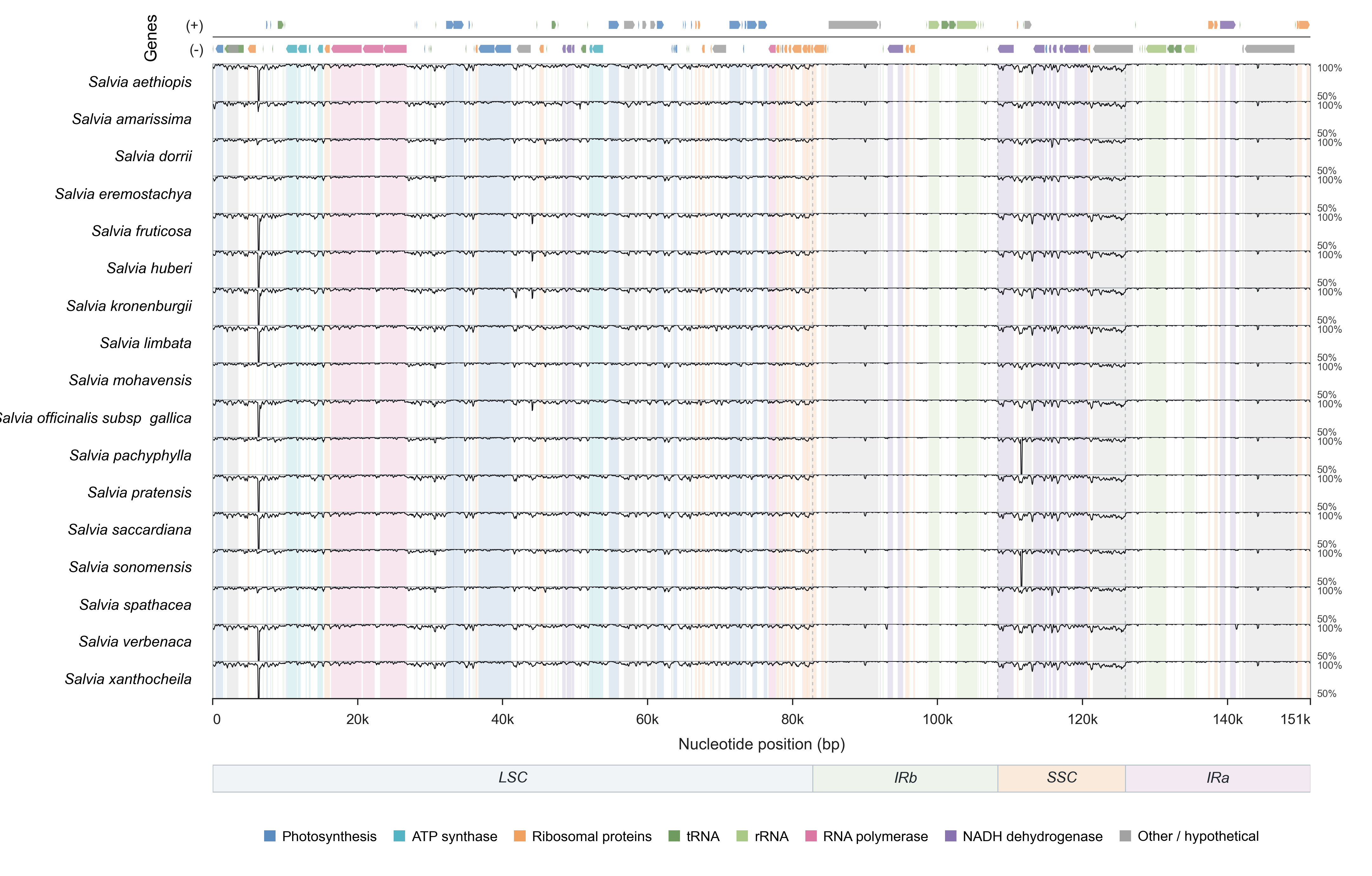 Example pairwise similarity plot