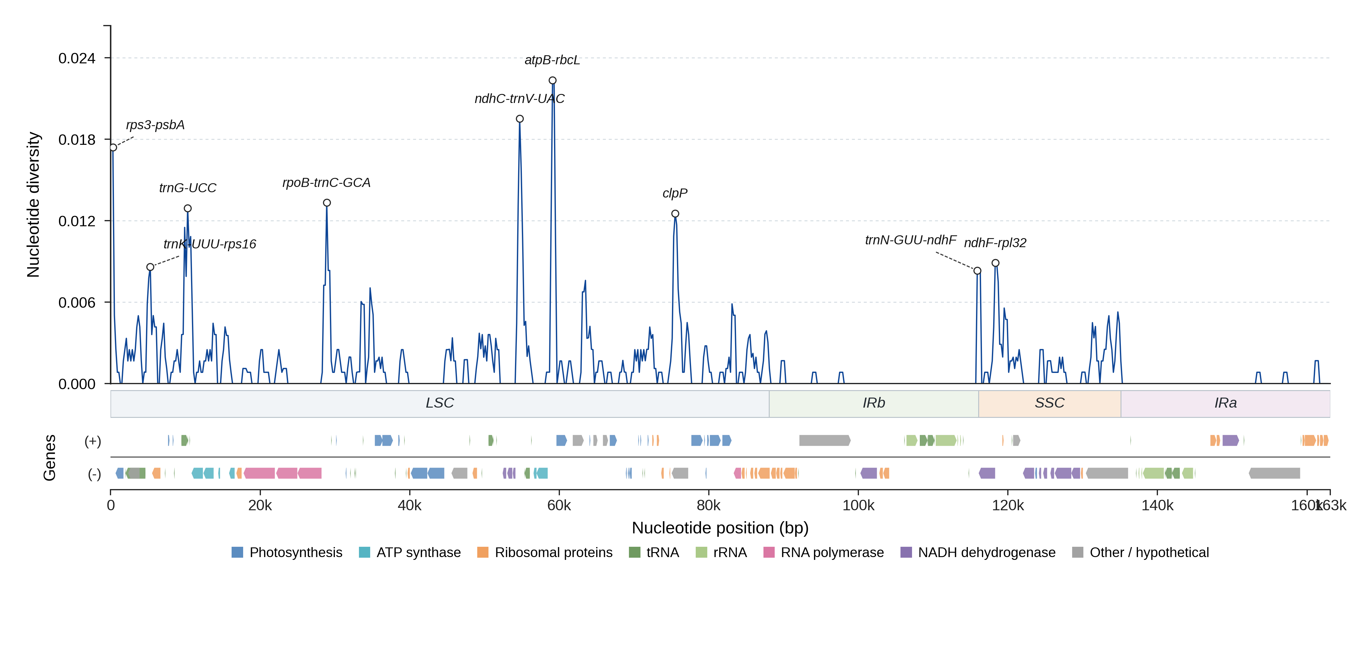 Sliding-window nucleotide diversity