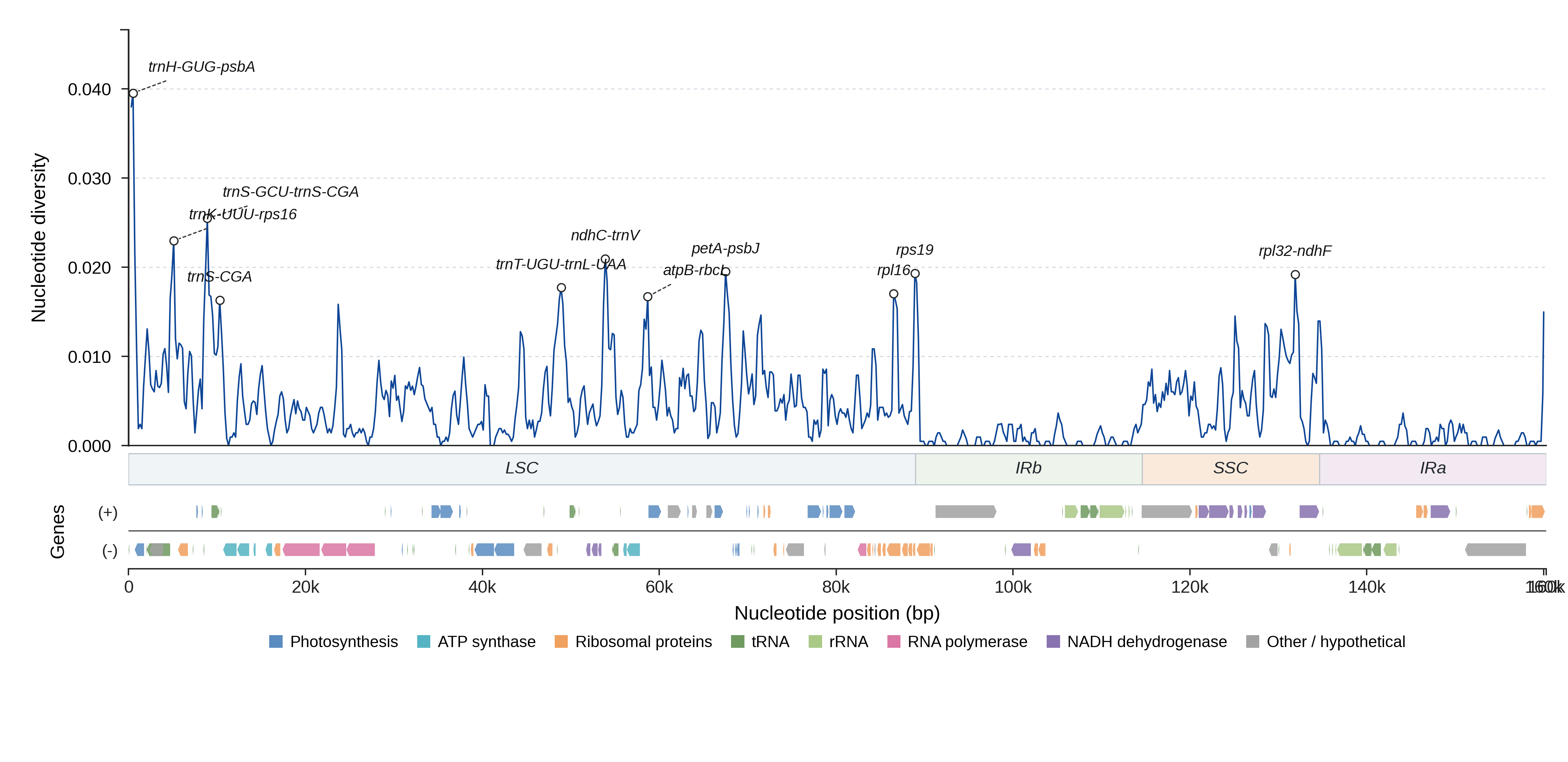 Sliding-window nucleotide diversity