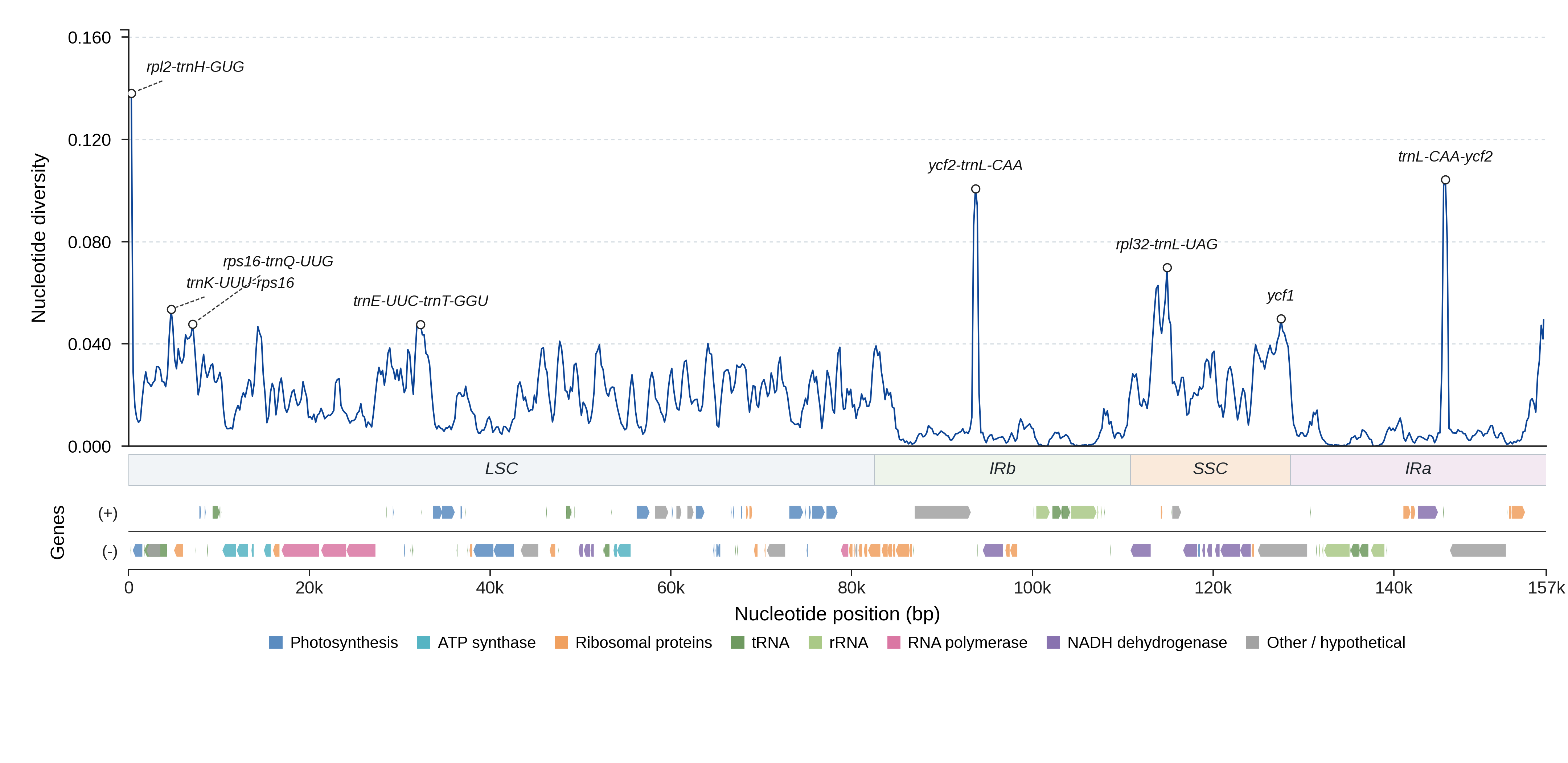 Sliding-window nucleotide diversity