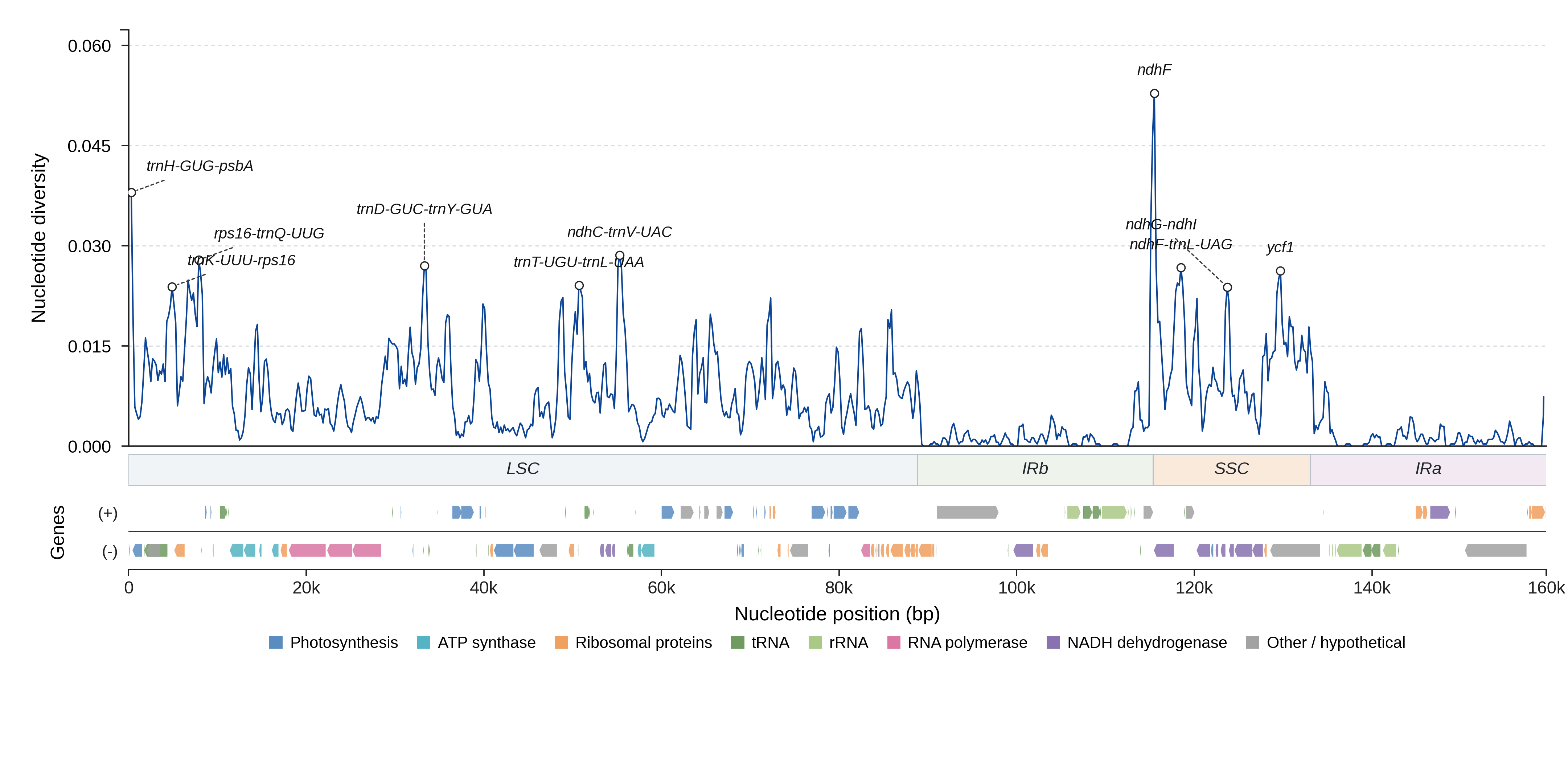 Sliding-window nucleotide diversity