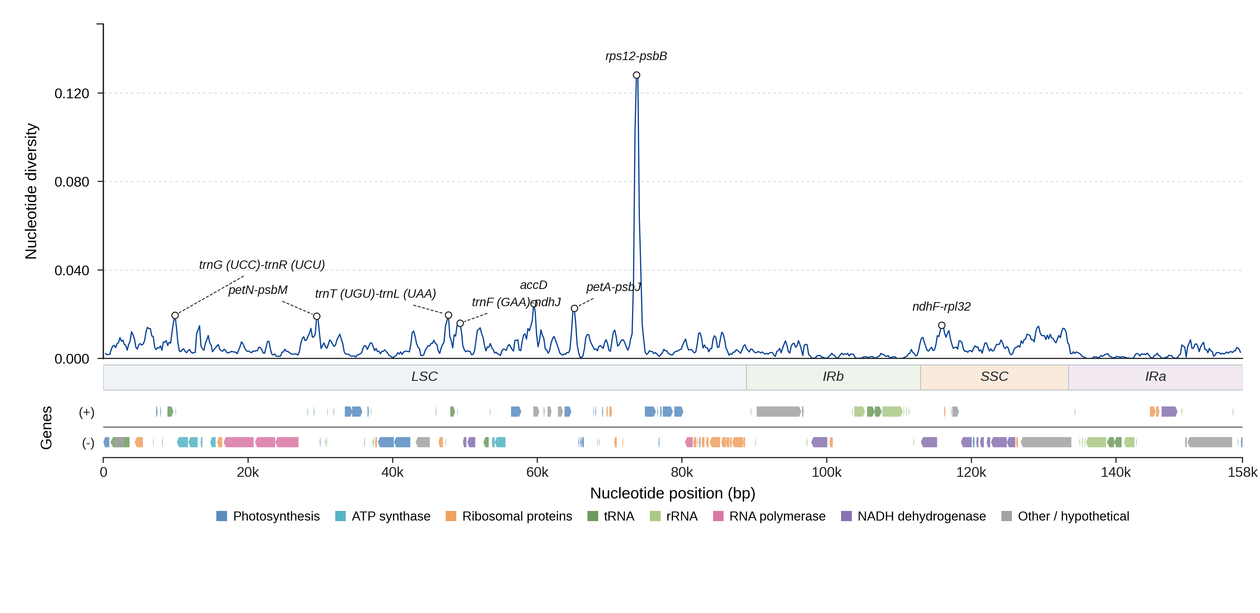 Sliding-window nucleotide diversity