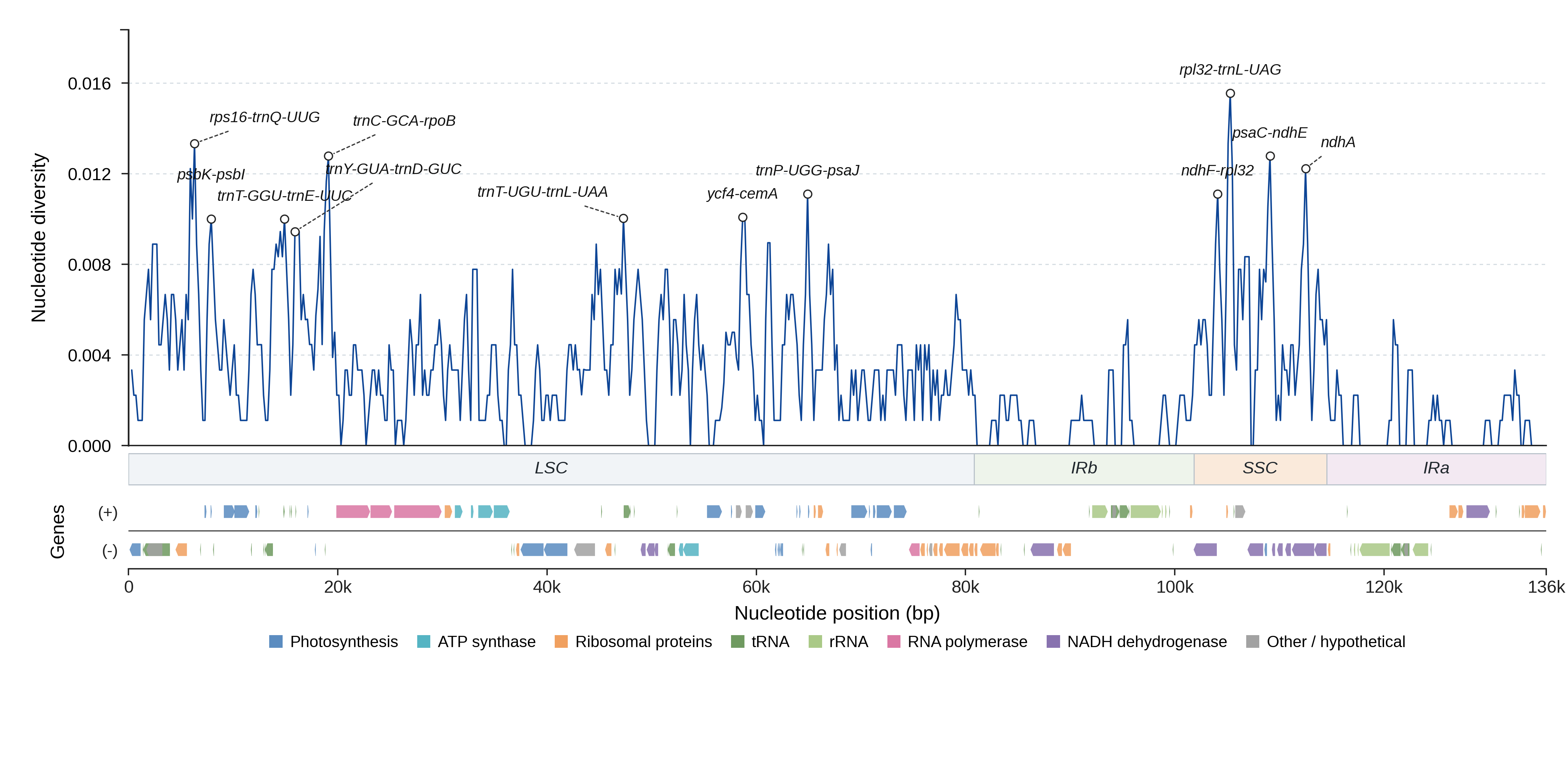 Sliding-window nucleotide diversity