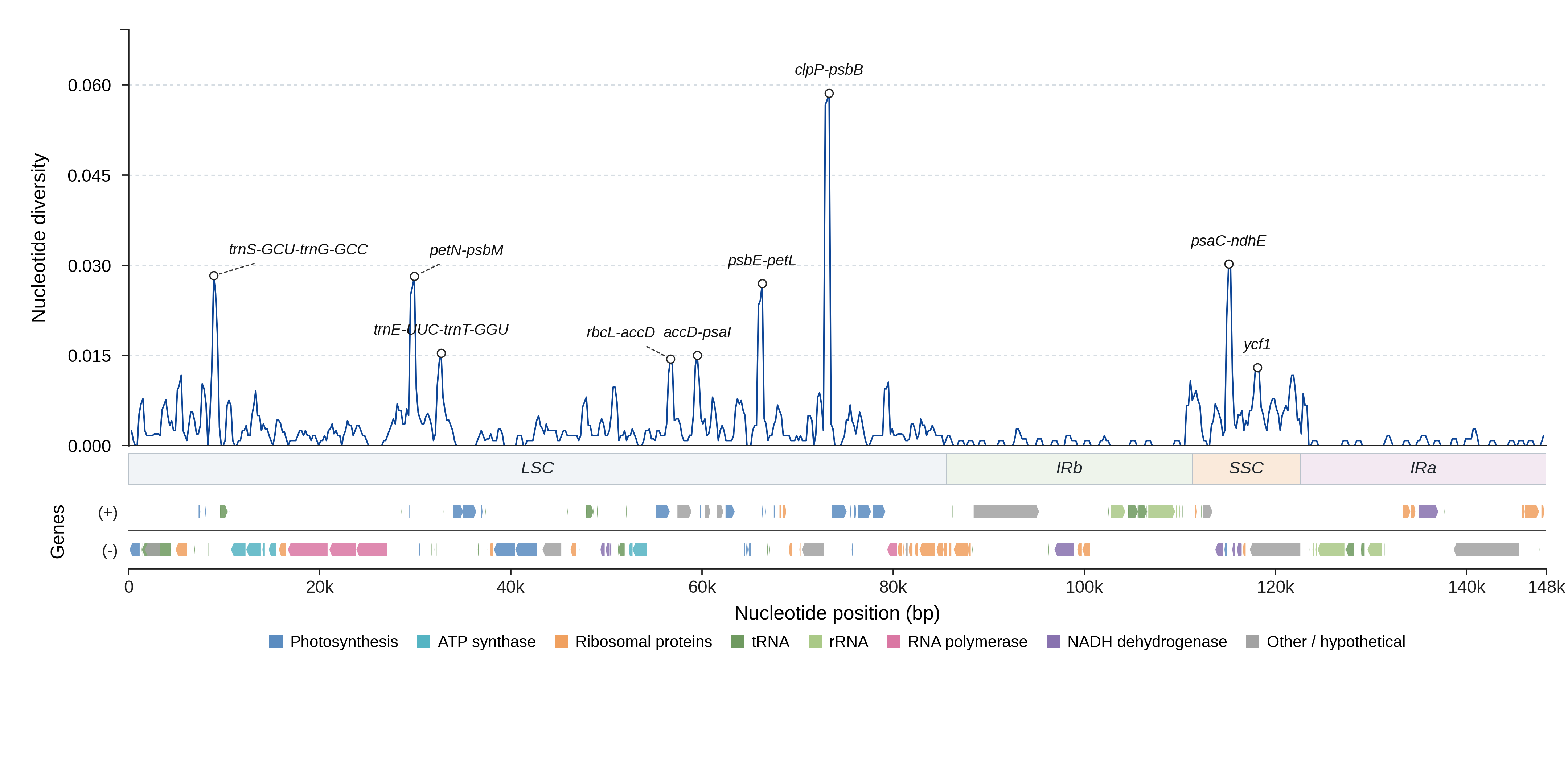 Sliding-window nucleotide diversity