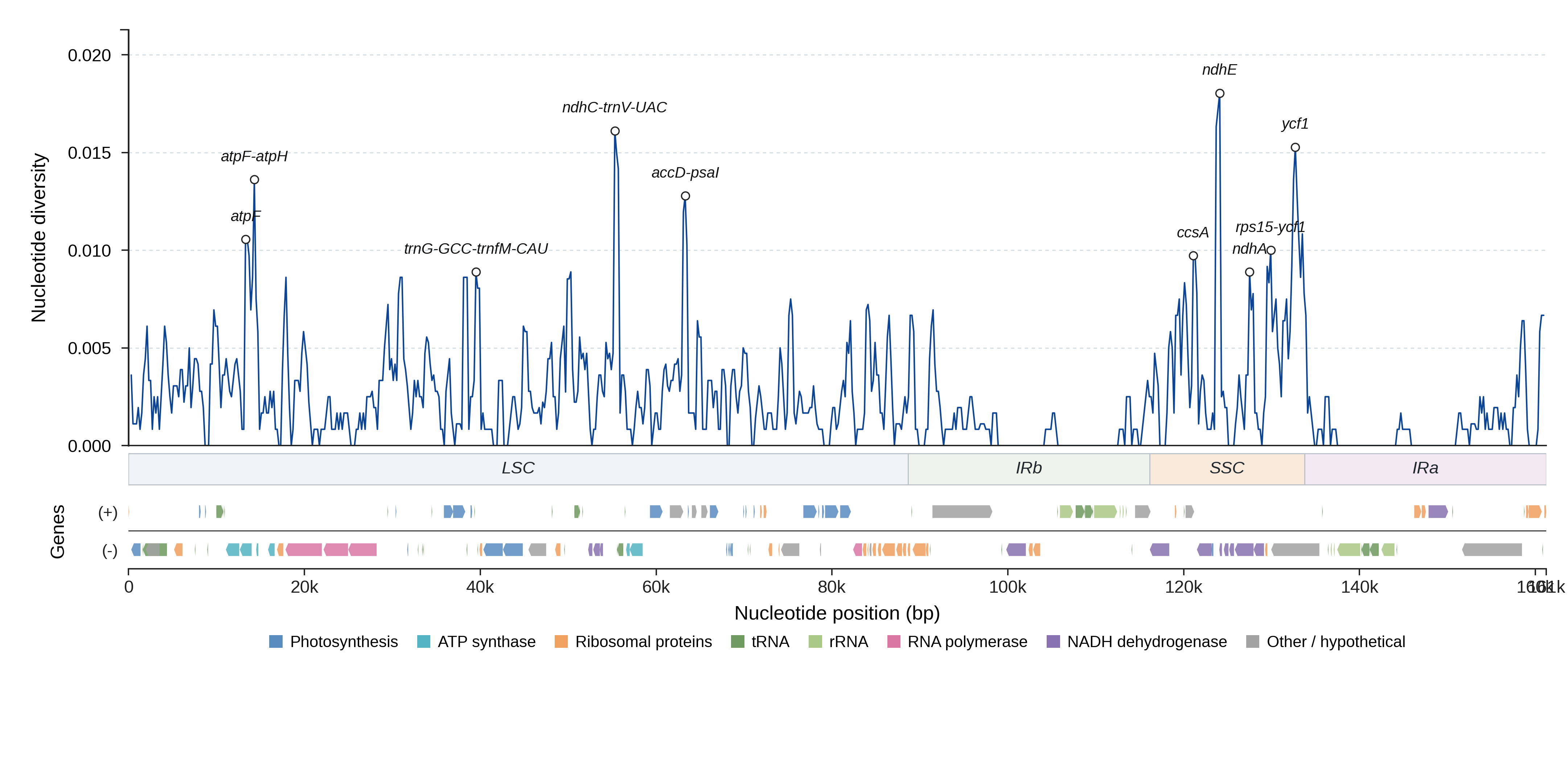 Sliding-window nucleotide diversity