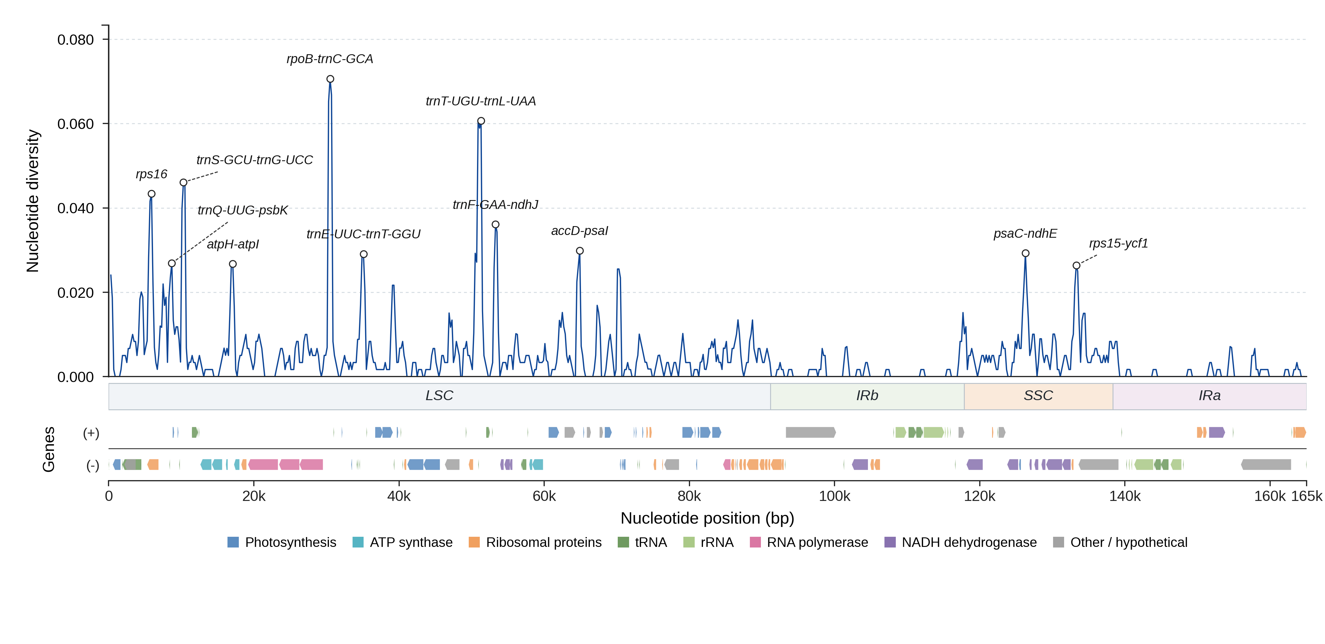 Sliding-window nucleotide diversity