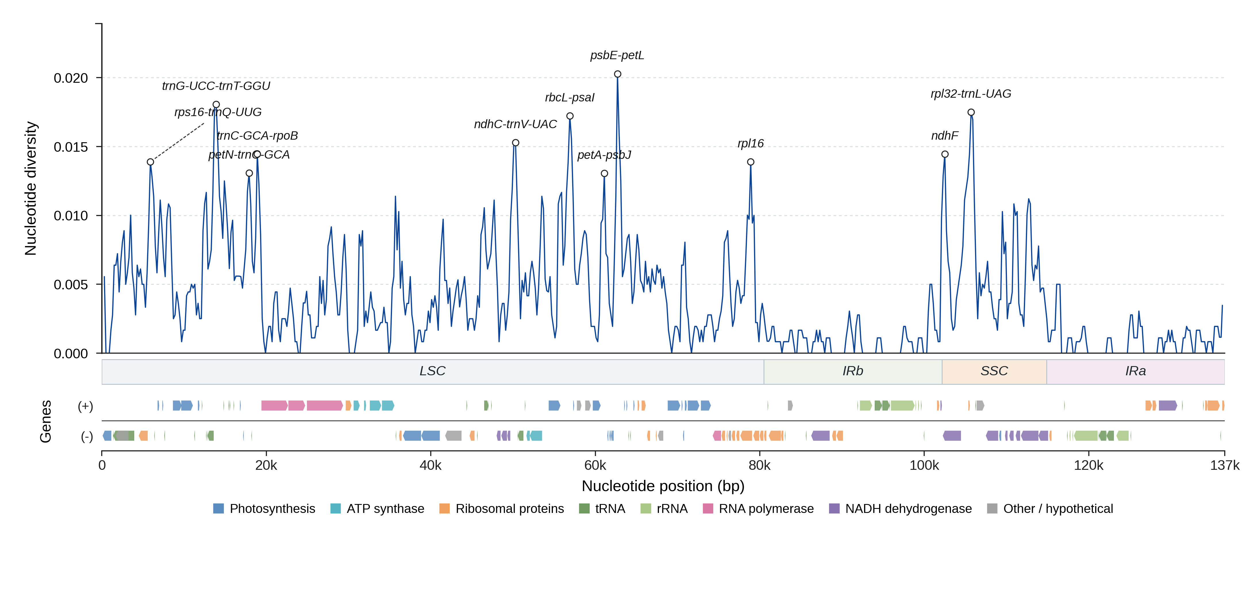 Sliding-window nucleotide diversity