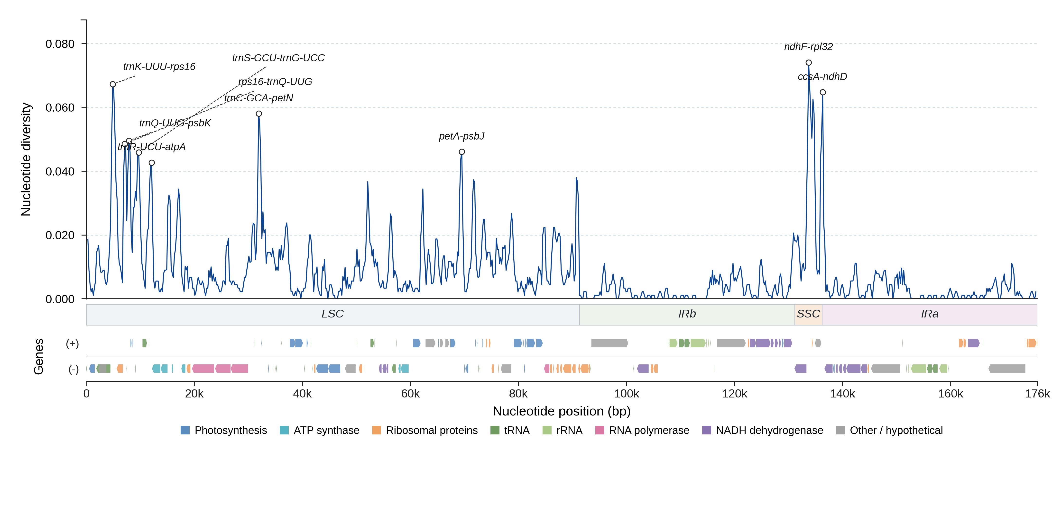Sliding-window nucleotide diversity