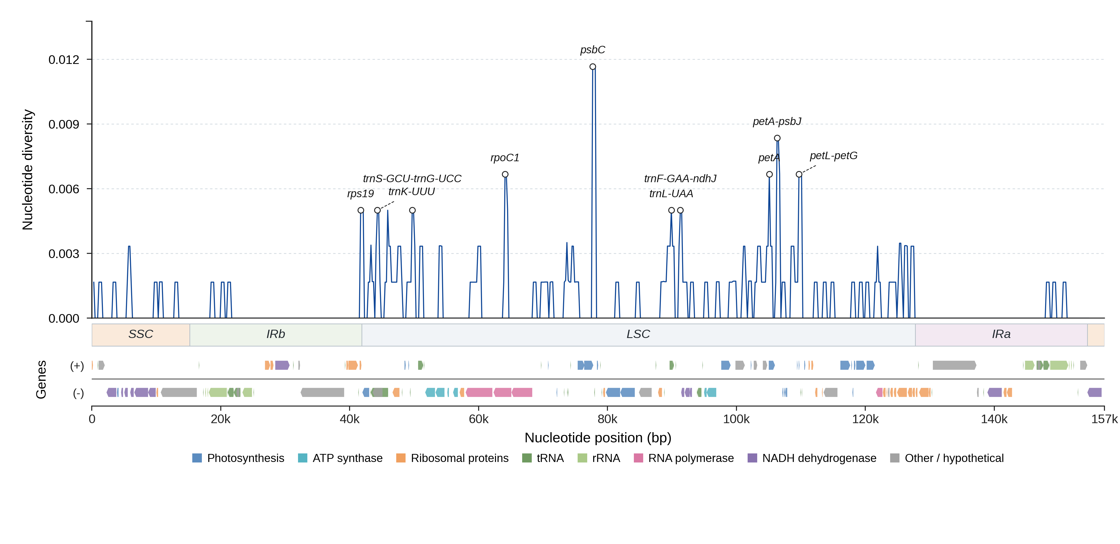 Sliding-window nucleotide diversity