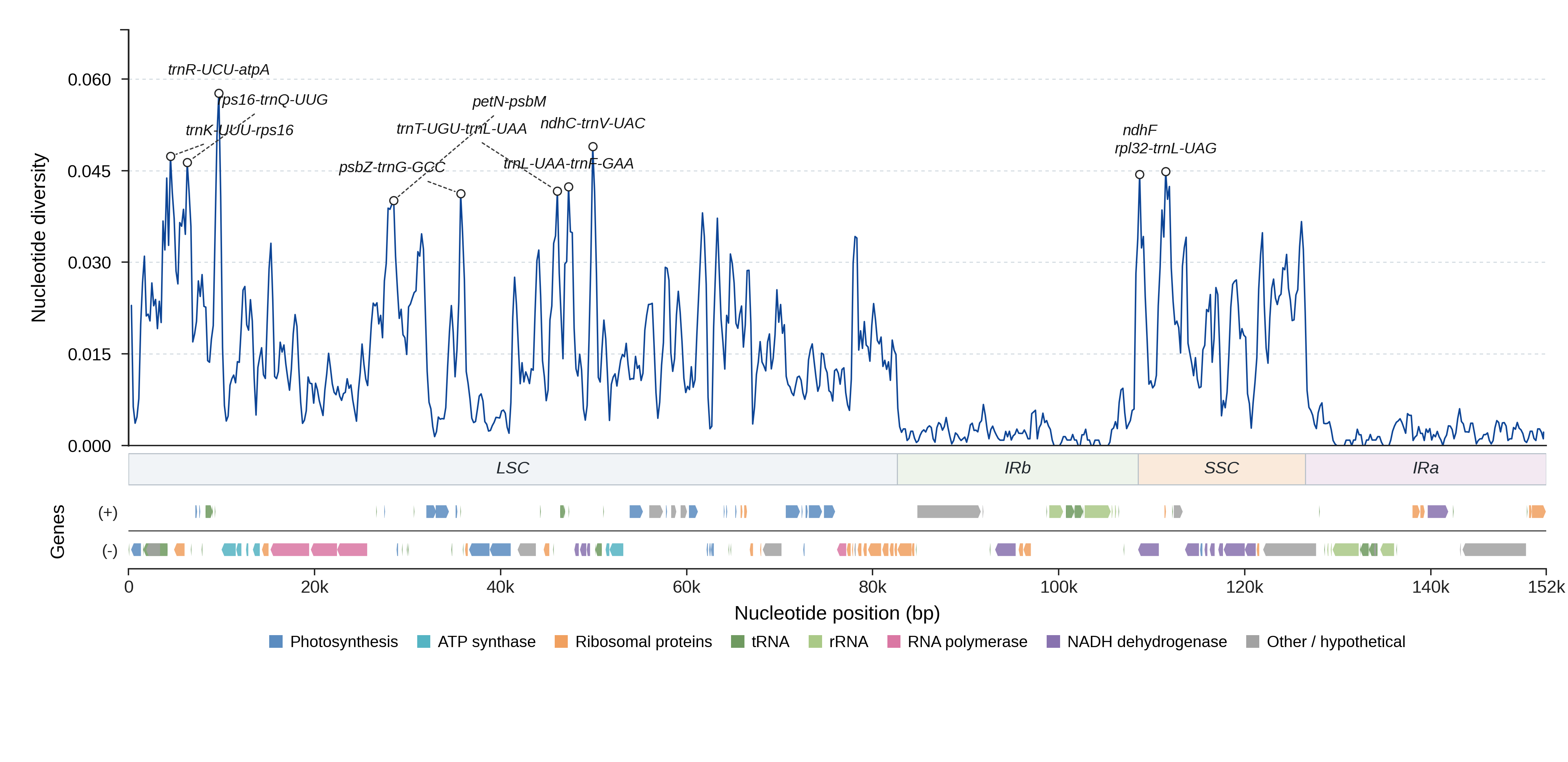 Sliding-window nucleotide diversity