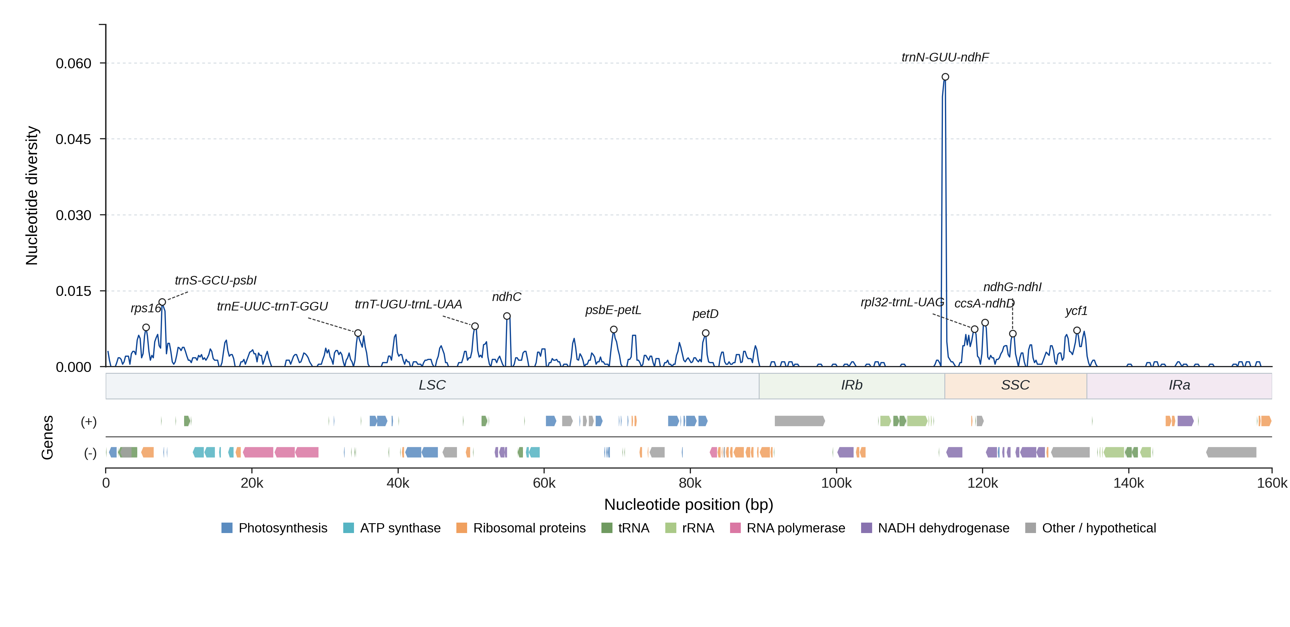 Sliding-window nucleotide diversity