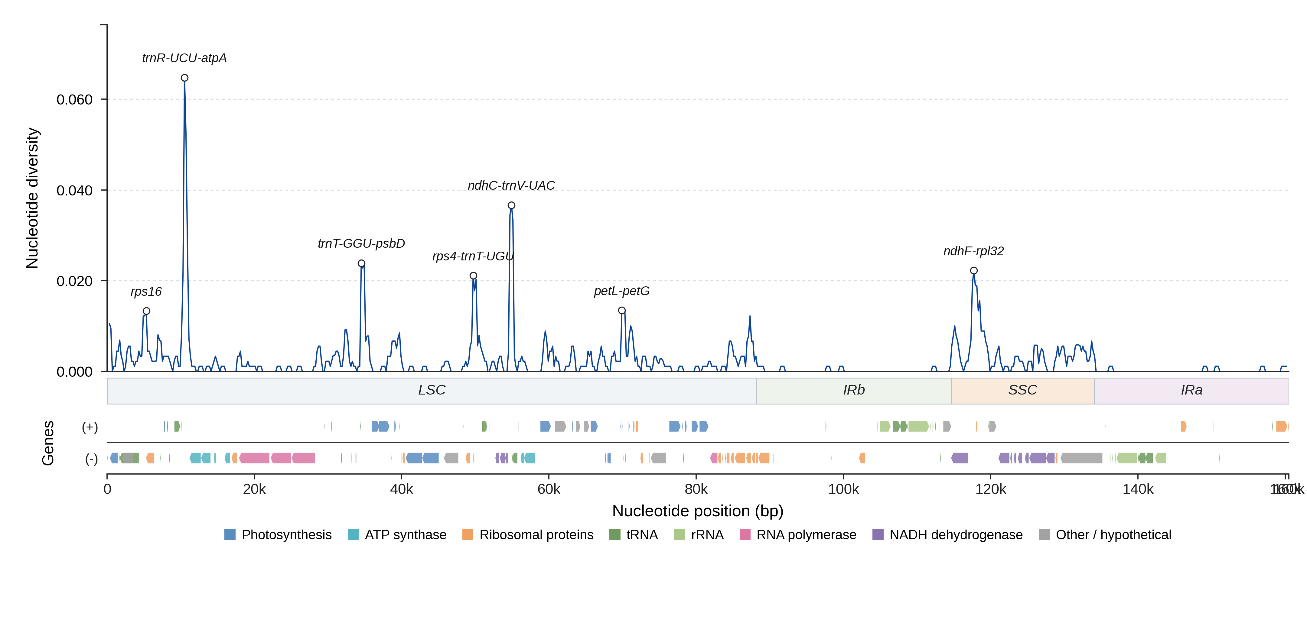Sliding-window nucleotide diversity