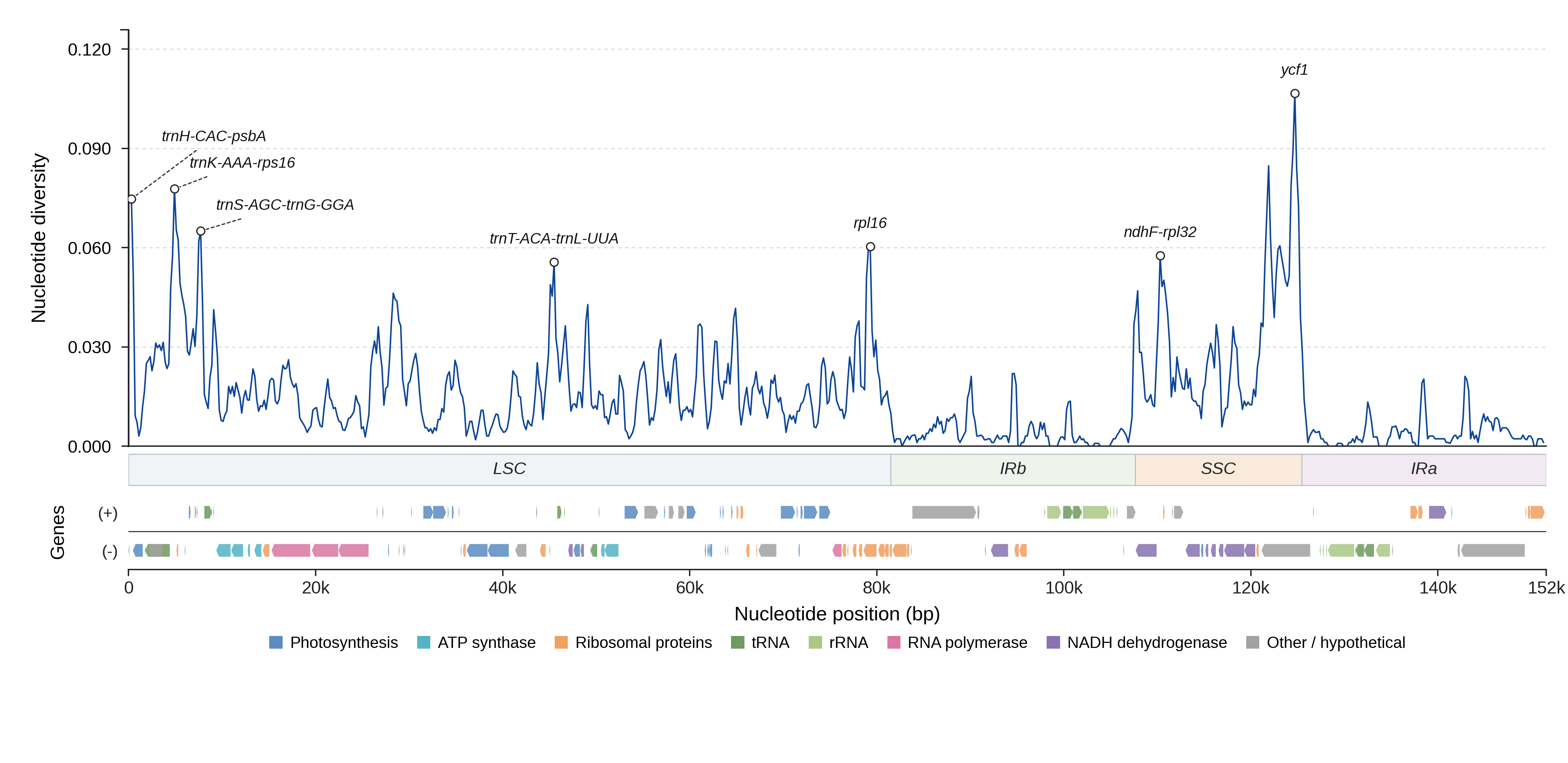 Sliding-window nucleotide diversity