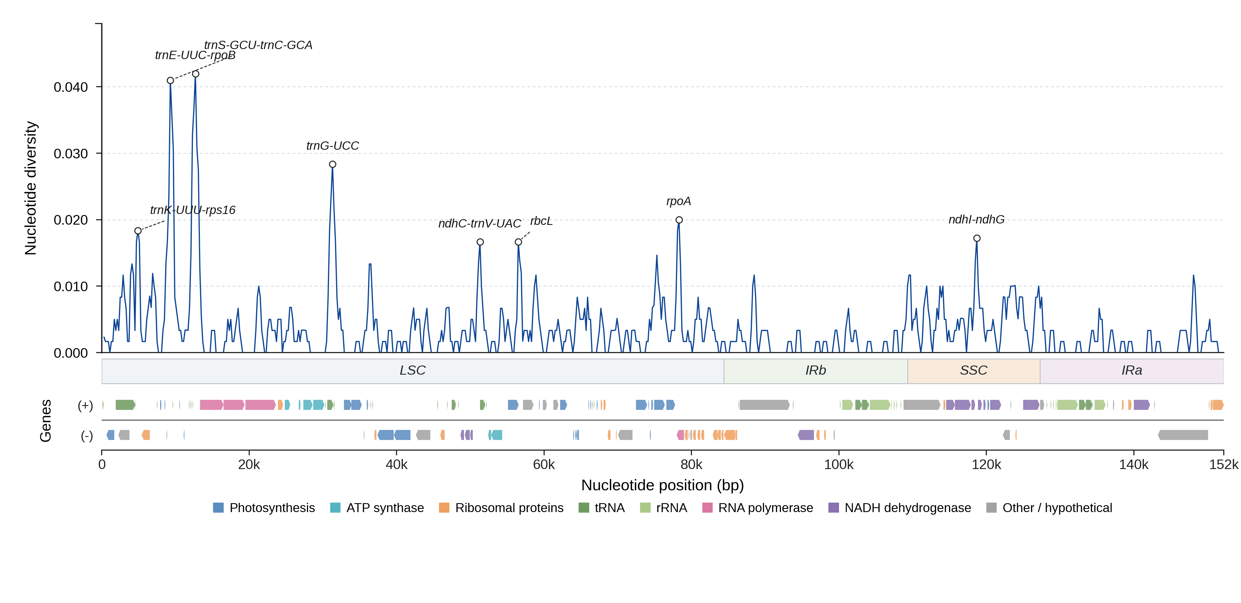 Sliding-window nucleotide diversity
