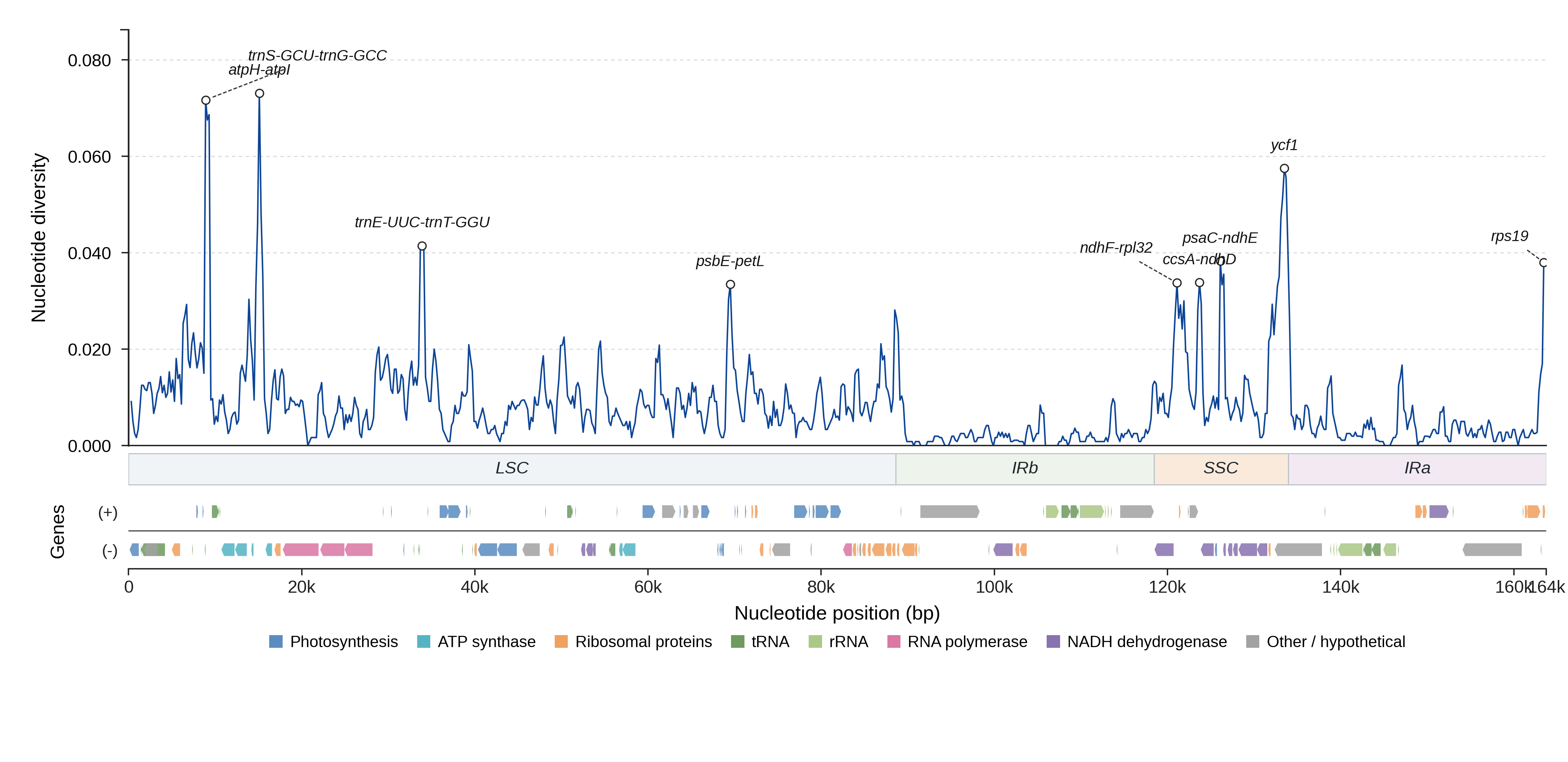 Sliding-window nucleotide diversity