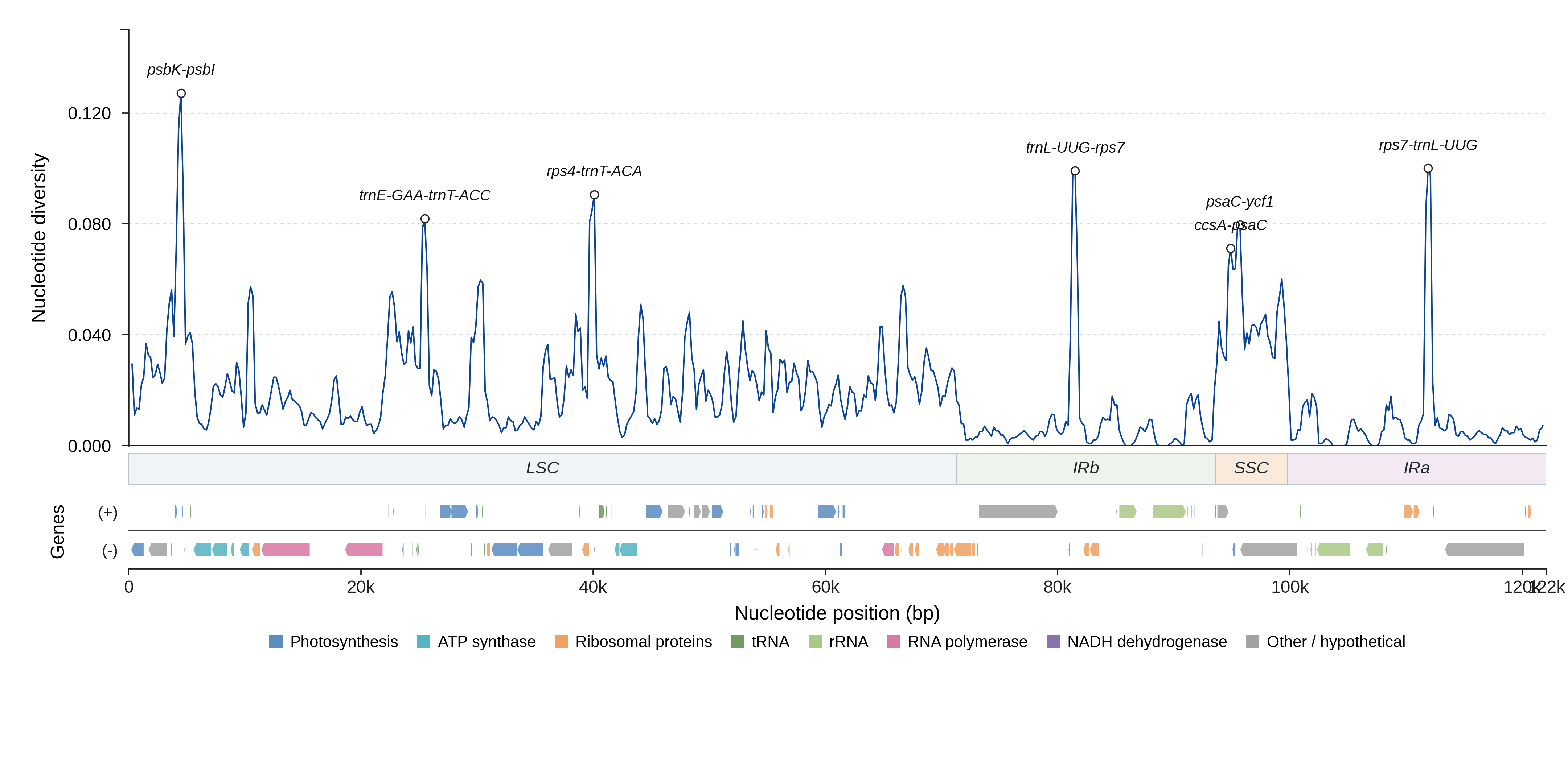 Sliding-window nucleotide diversity