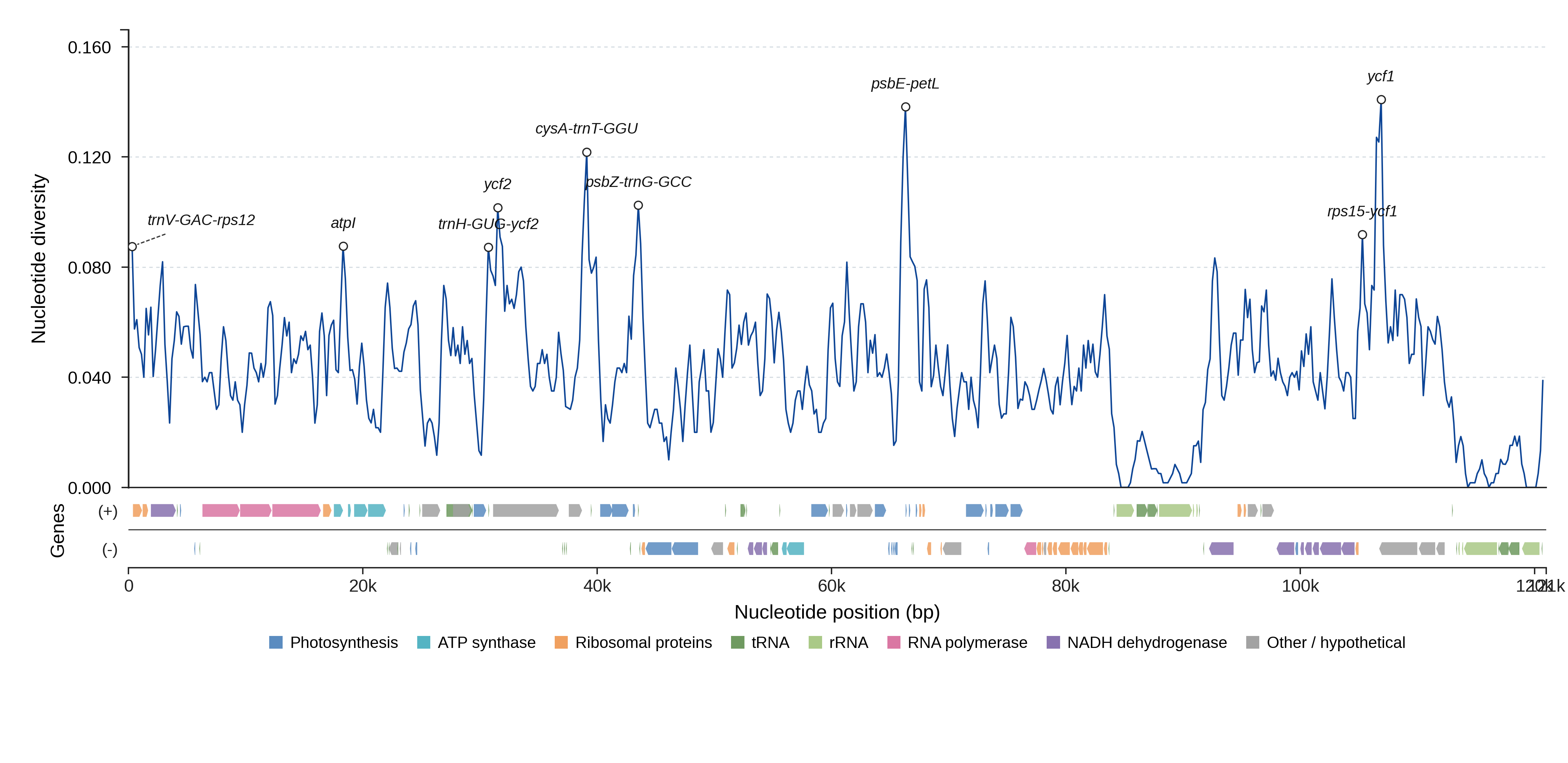 Sliding-window nucleotide diversity