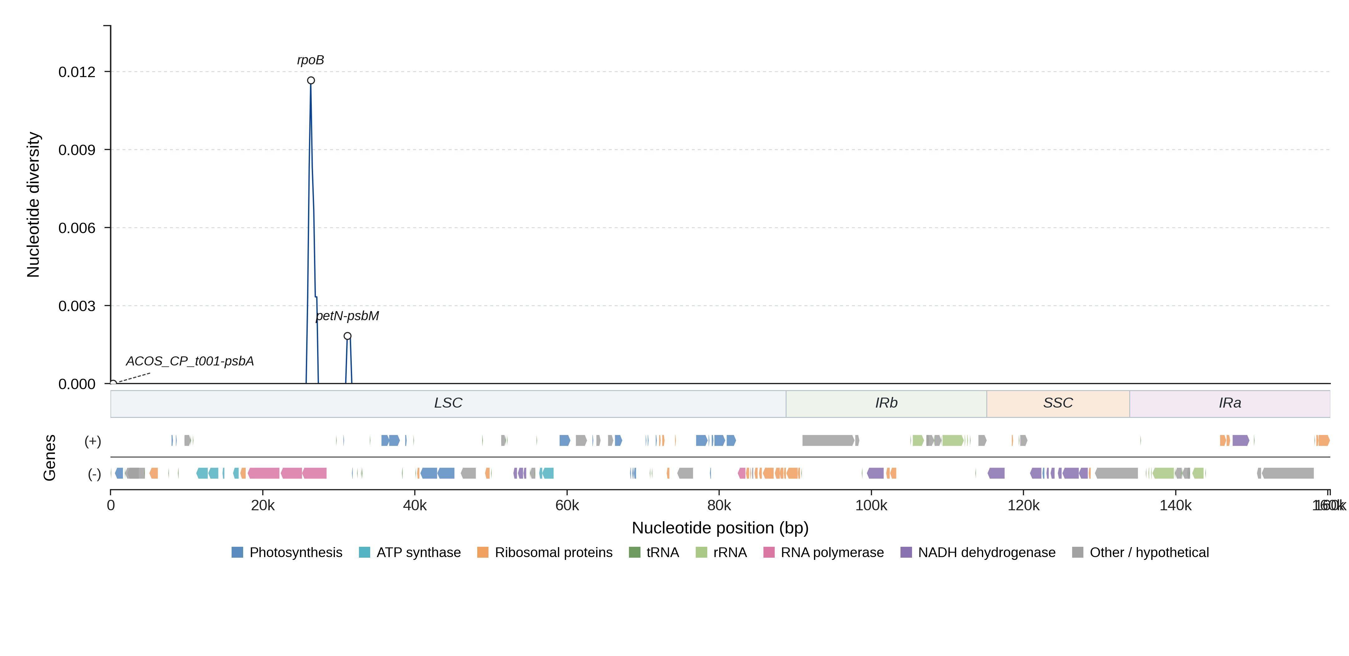 Sliding-window nucleotide diversity