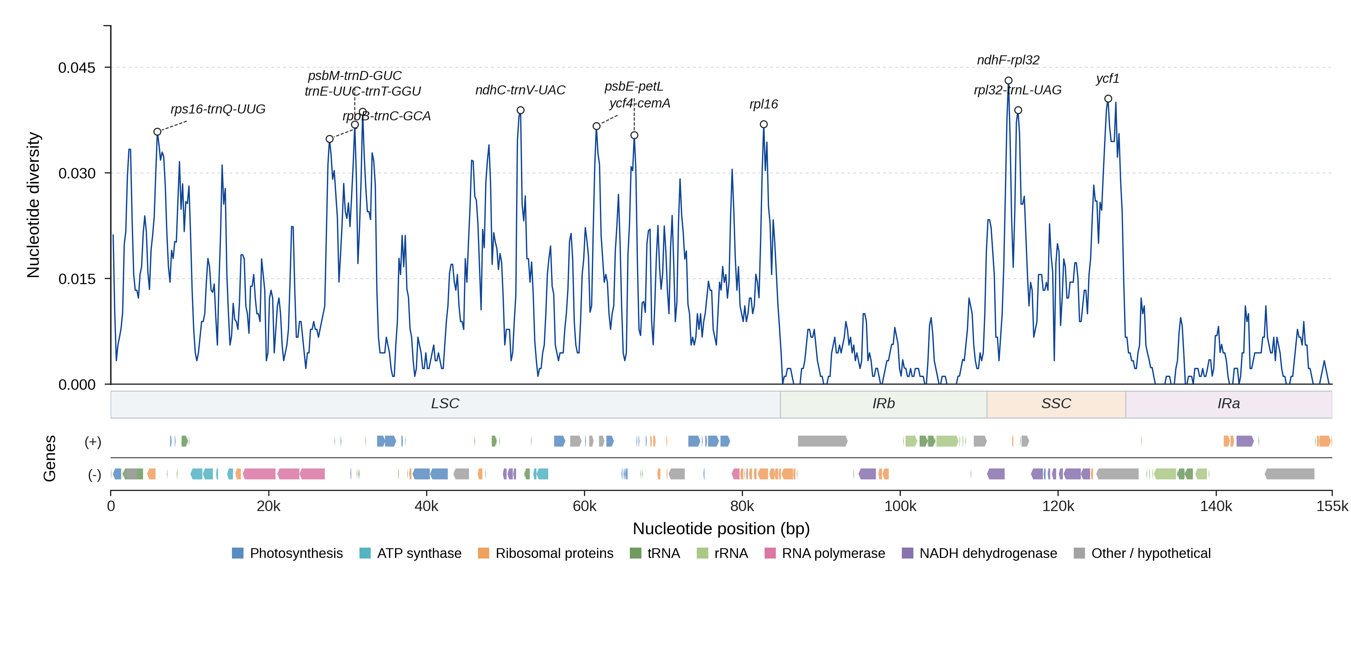 Sliding-window nucleotide diversity