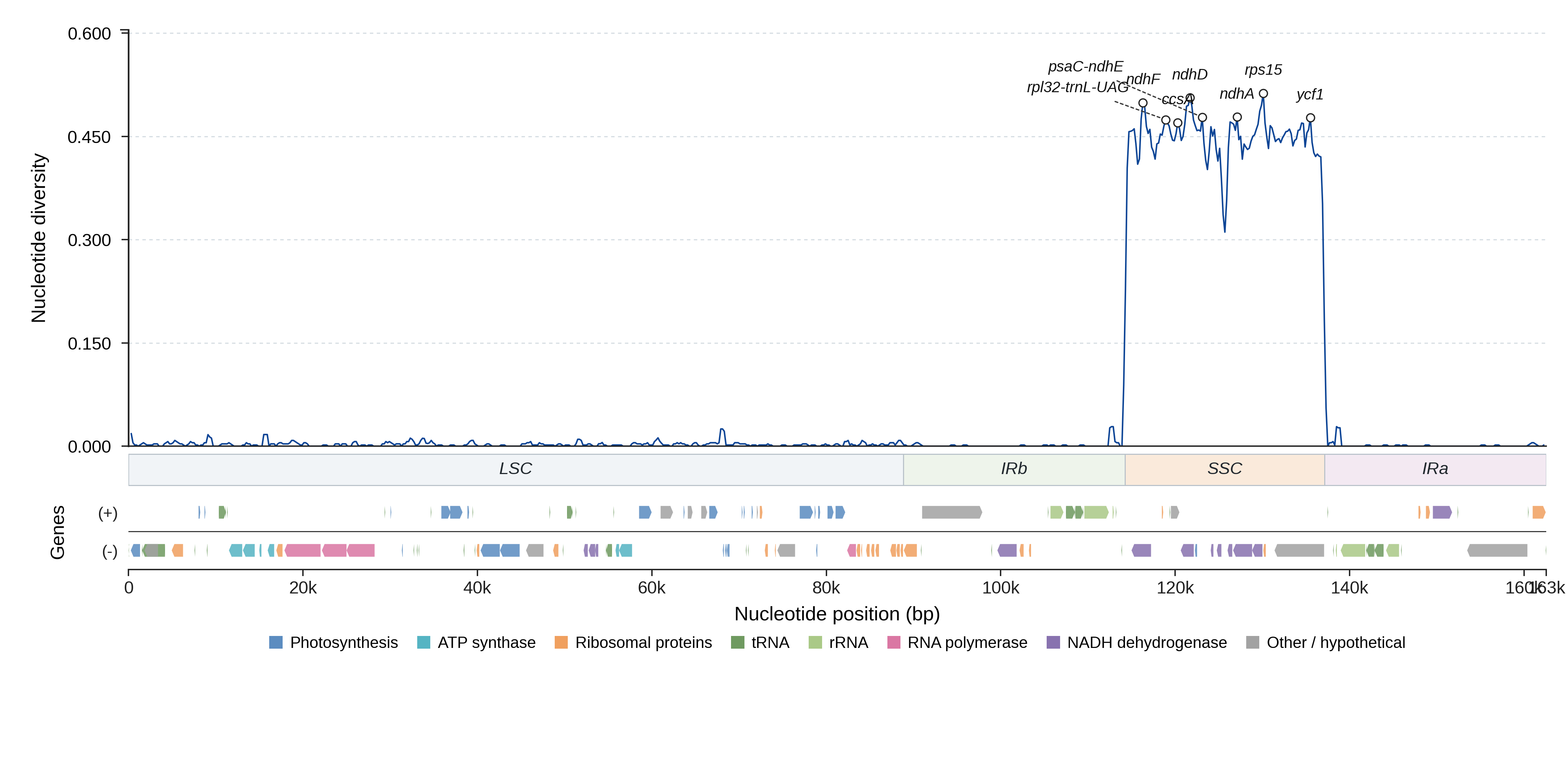 Sliding-window nucleotide diversity