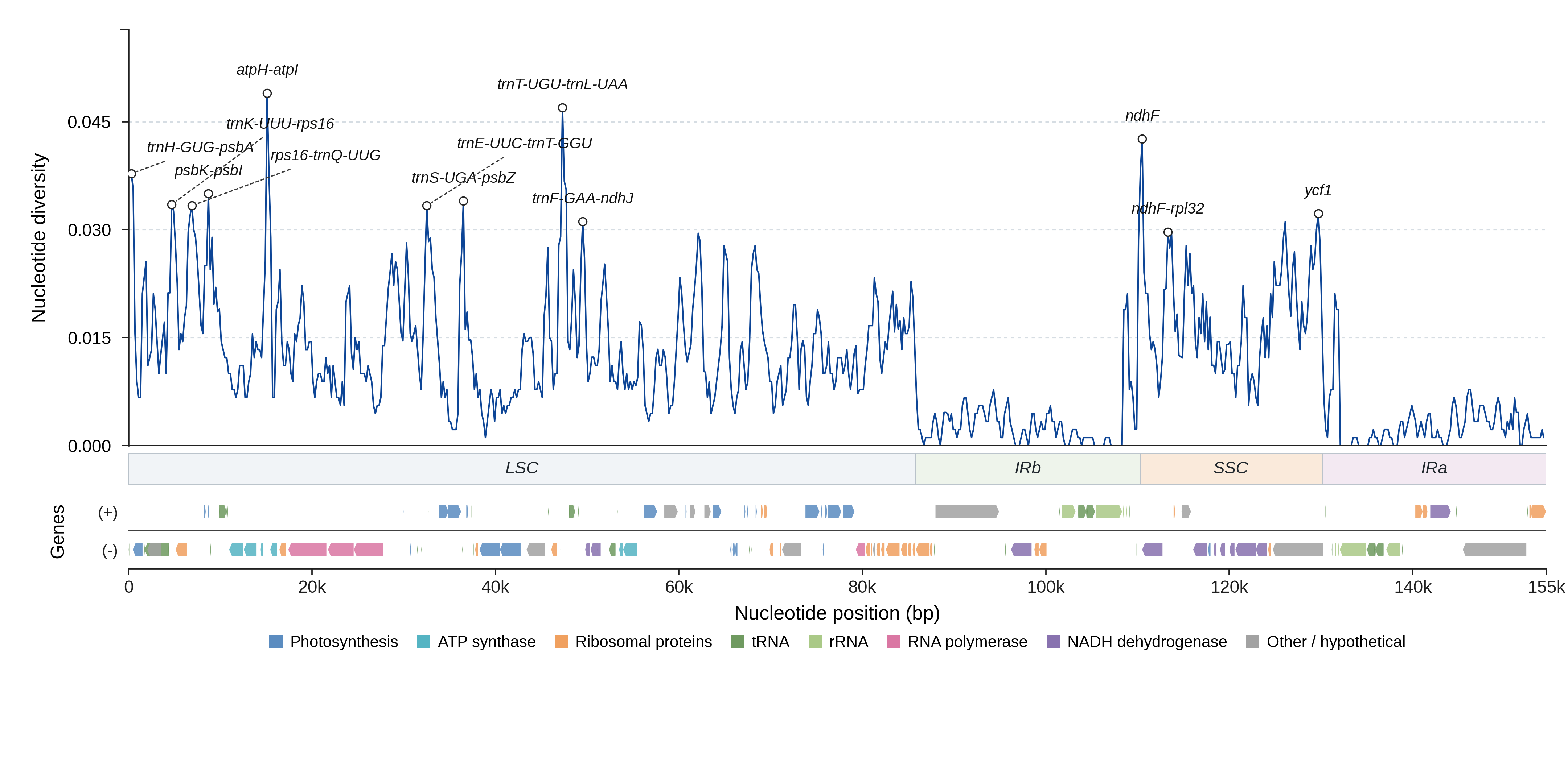 Sliding-window nucleotide diversity