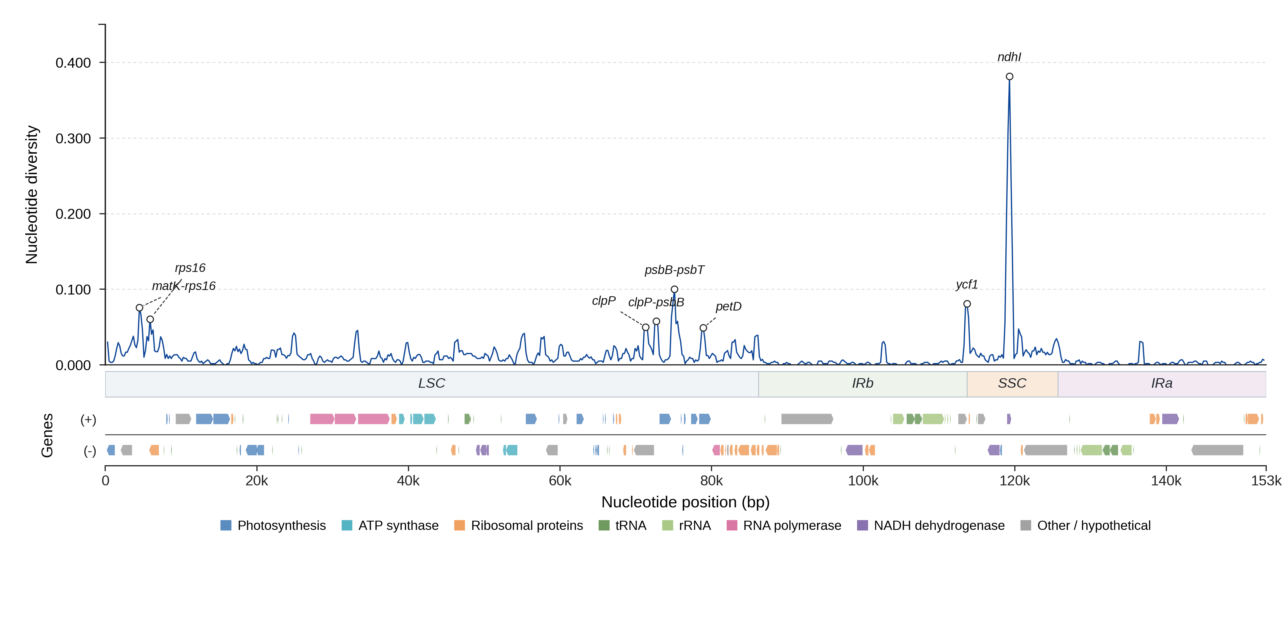 Sliding-window nucleotide diversity