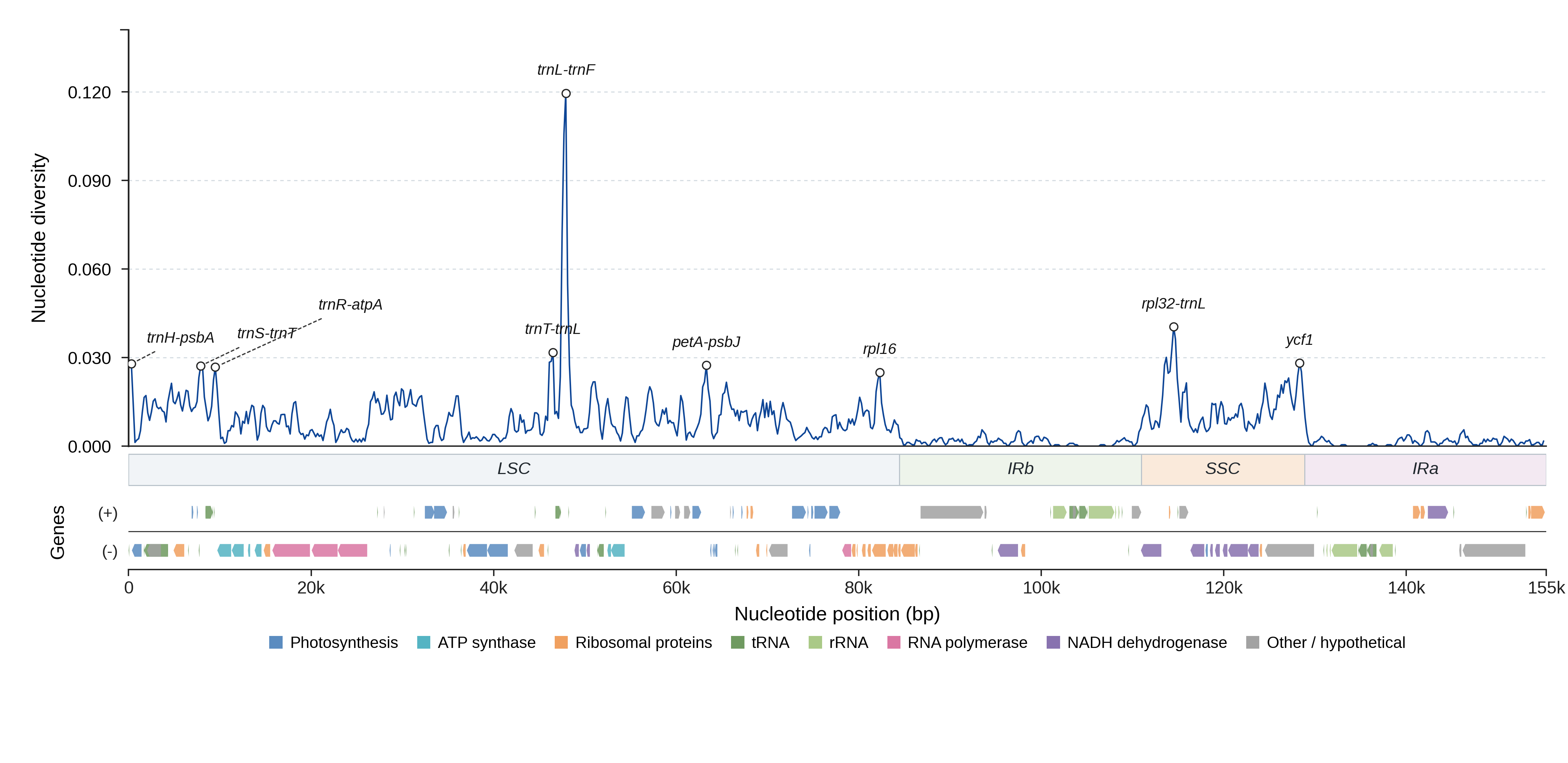 Sliding-window nucleotide diversity