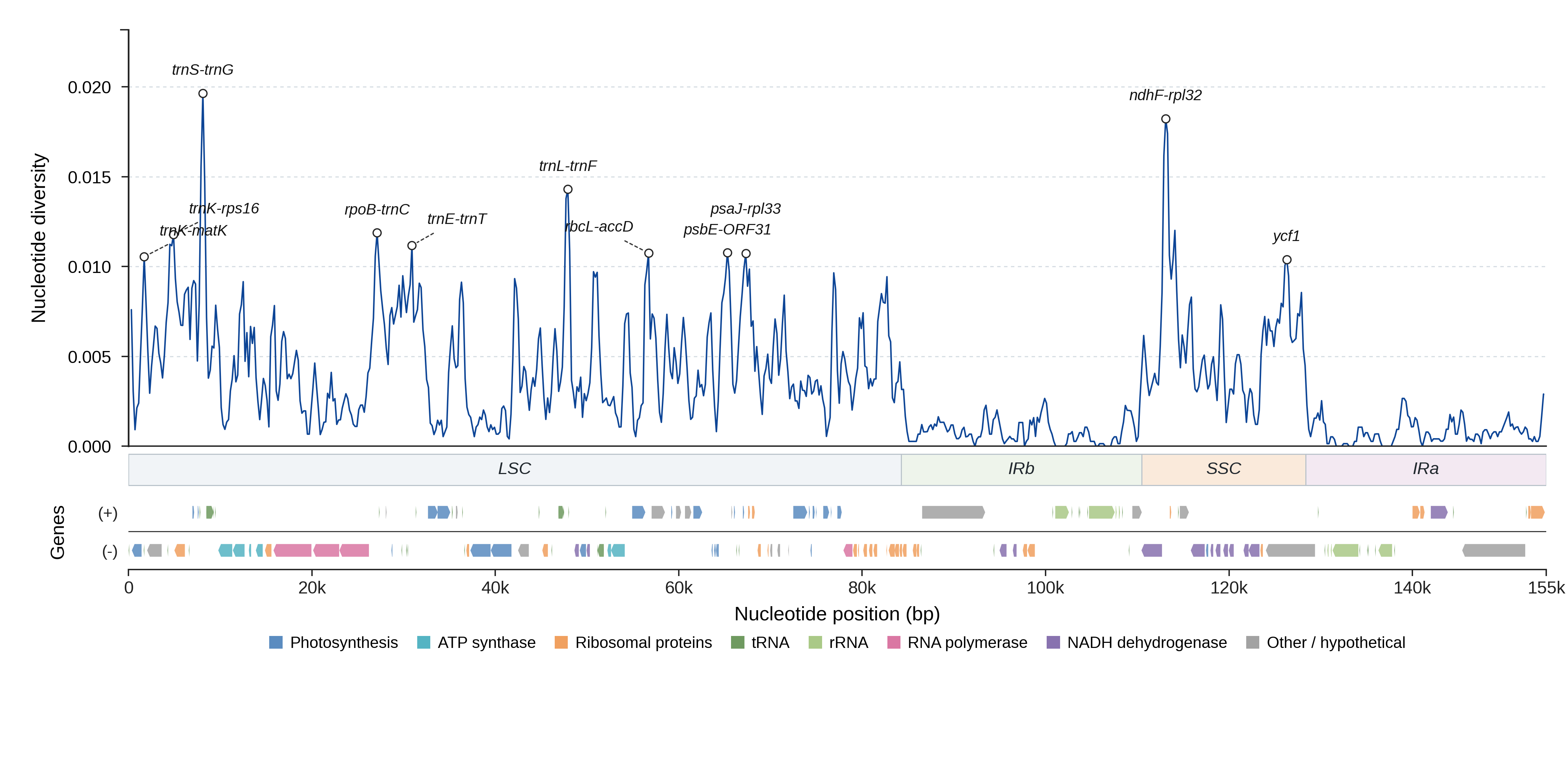 Sliding-window nucleotide diversity