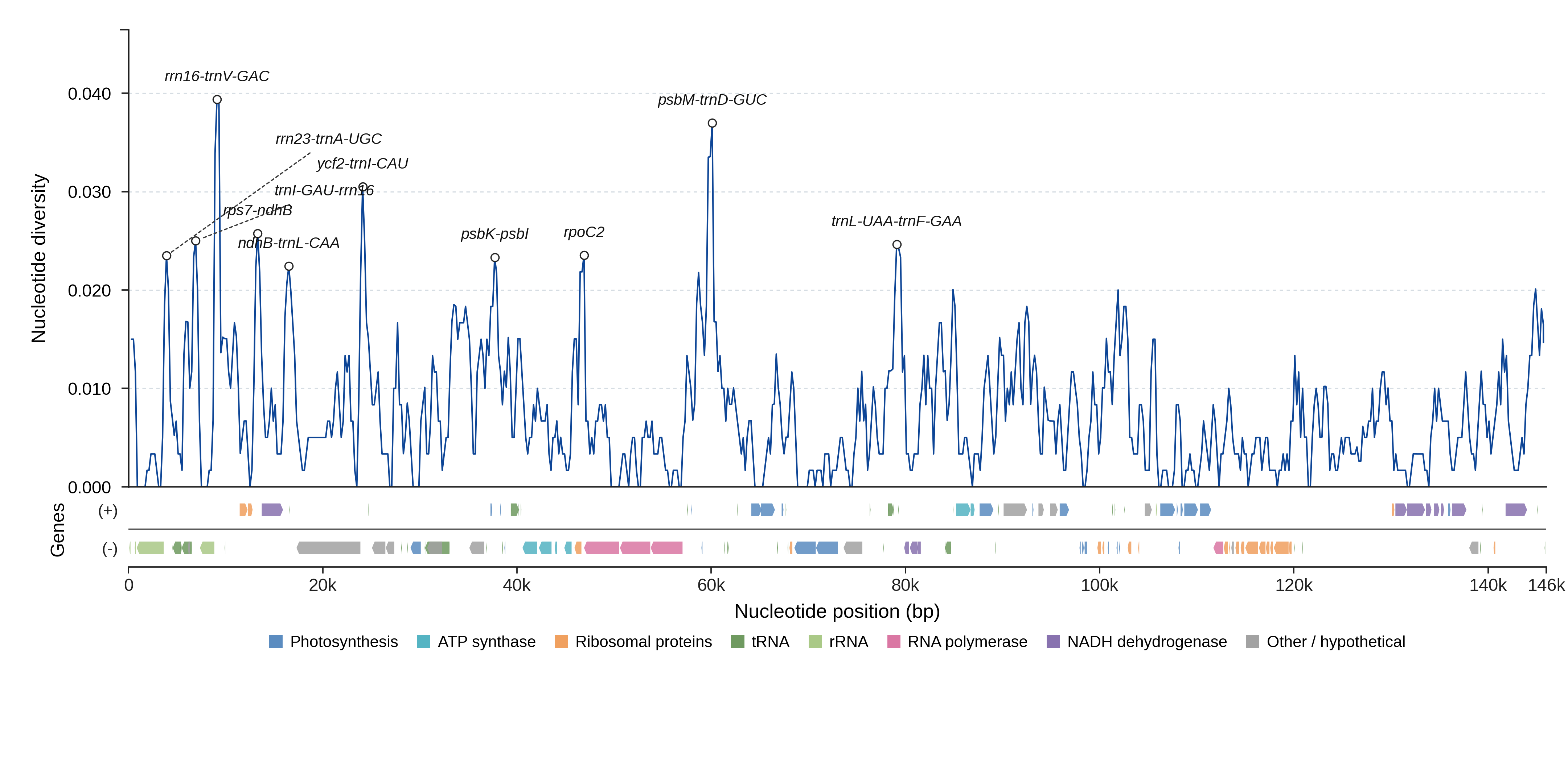 Sliding-window nucleotide diversity