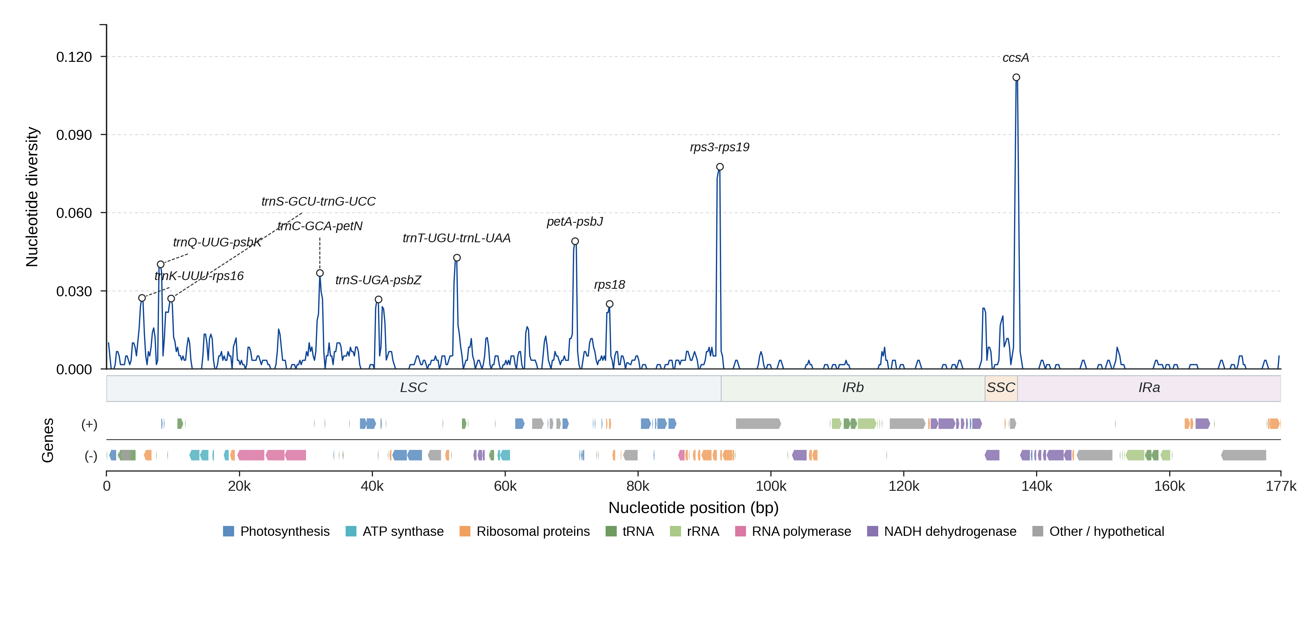 Sliding-window nucleotide diversity