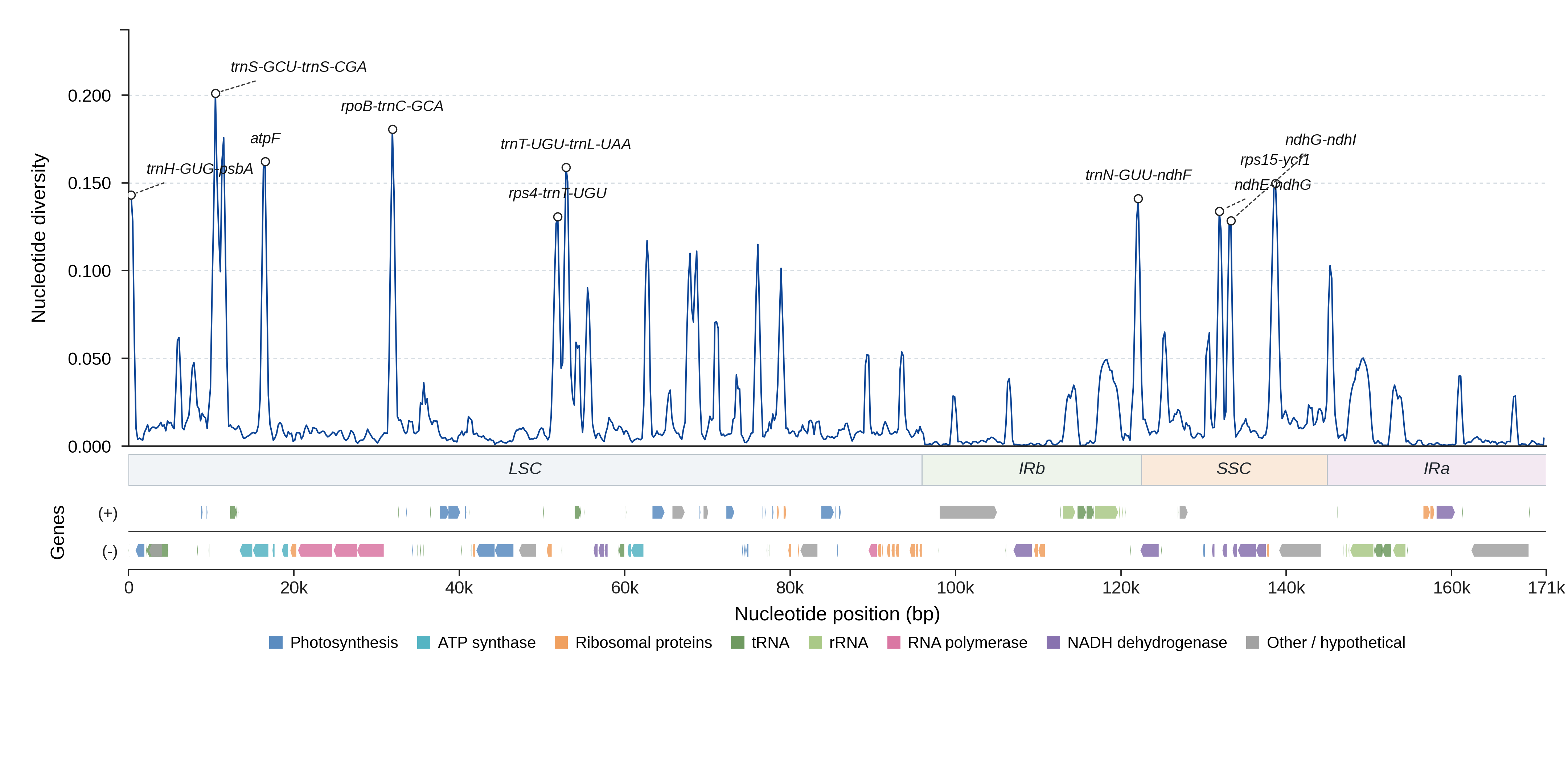 Sliding-window nucleotide diversity