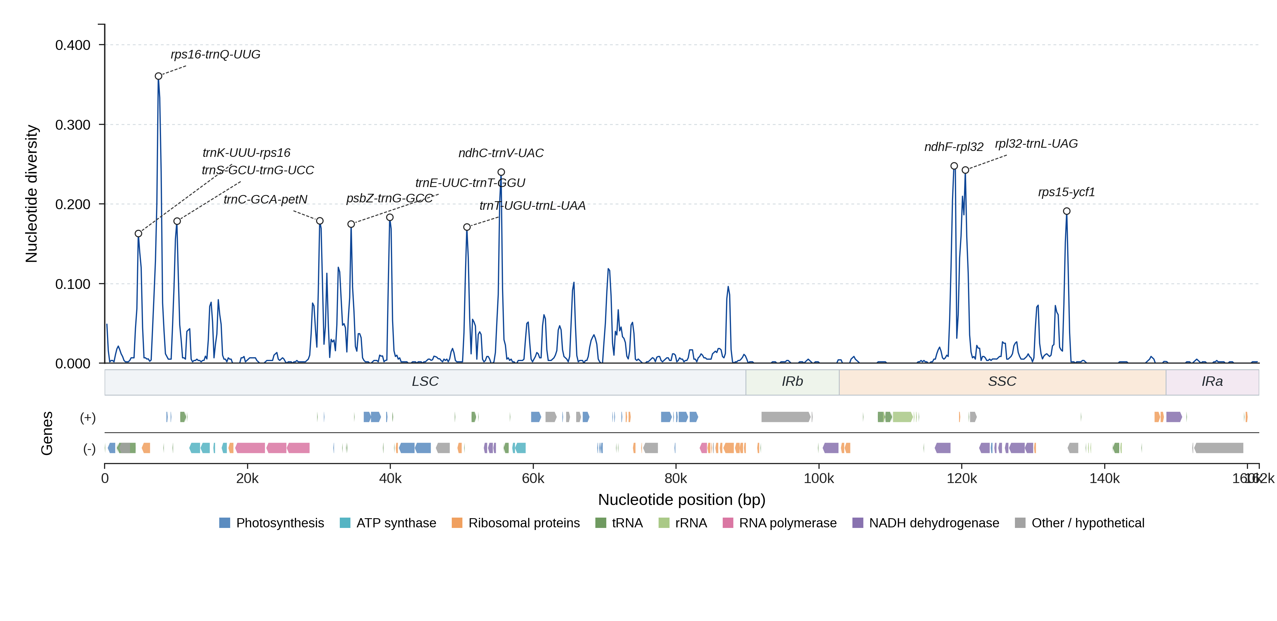 Sliding-window nucleotide diversity