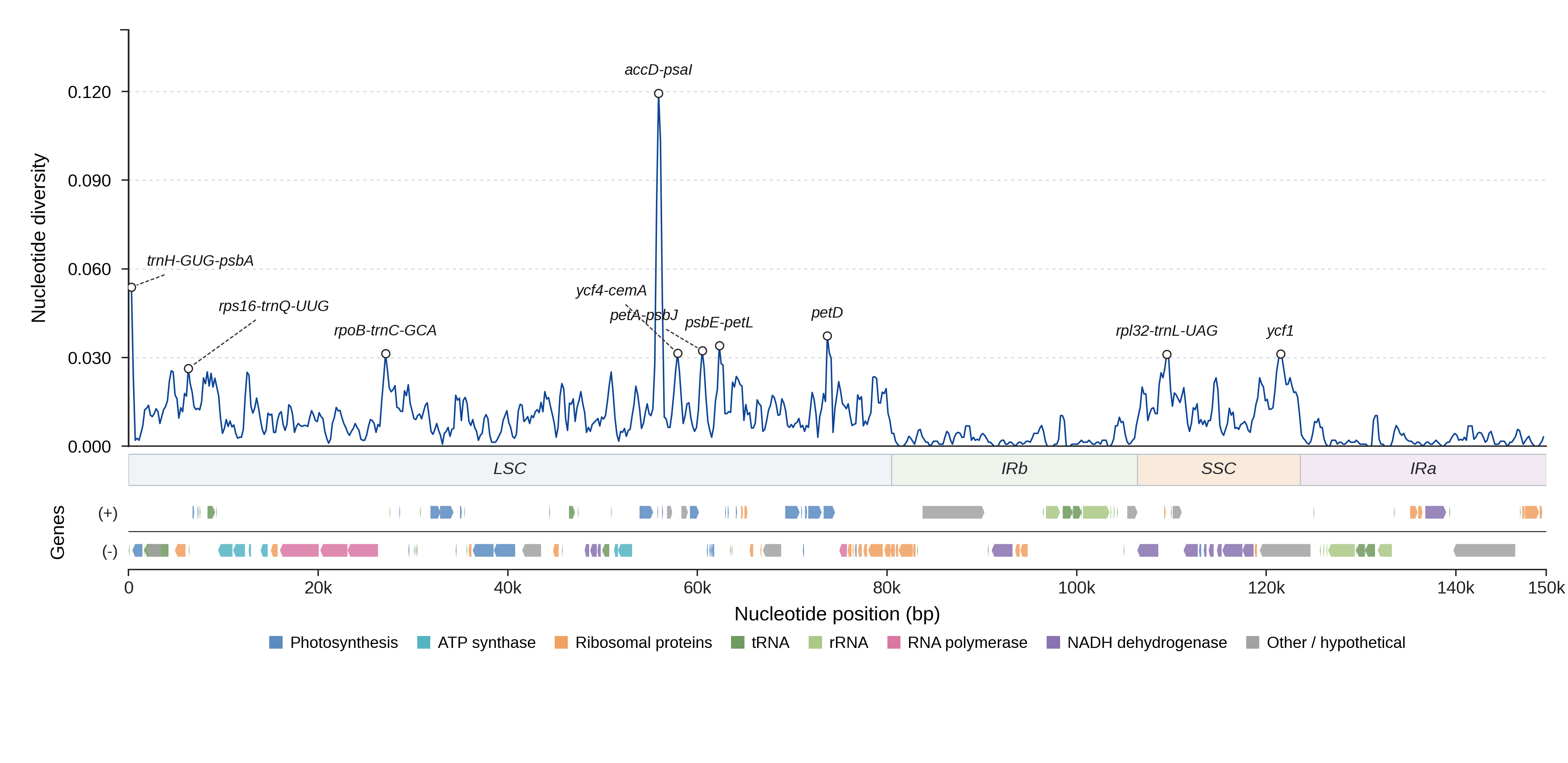 Sliding-window nucleotide diversity