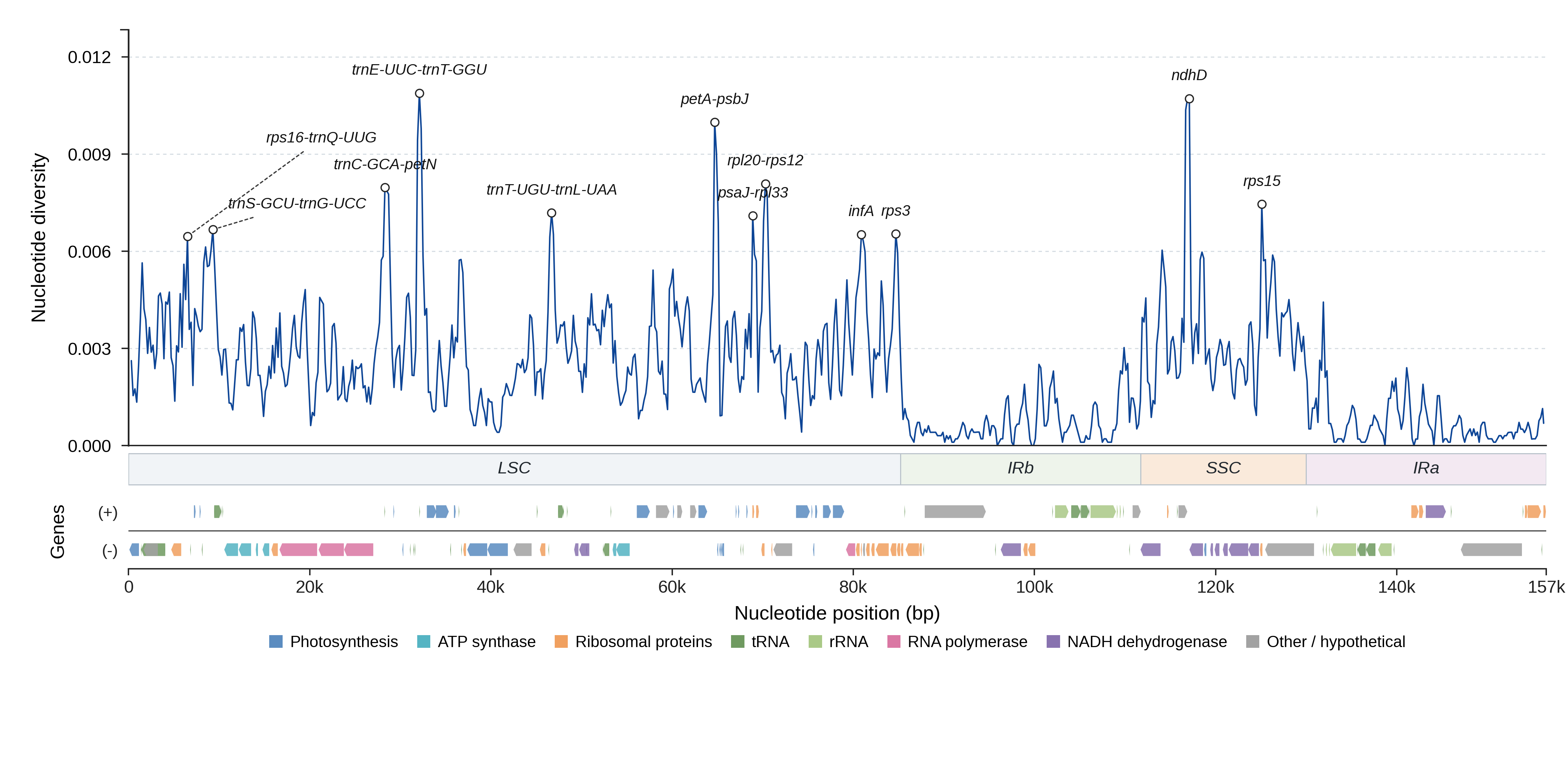 Sliding-window nucleotide diversity