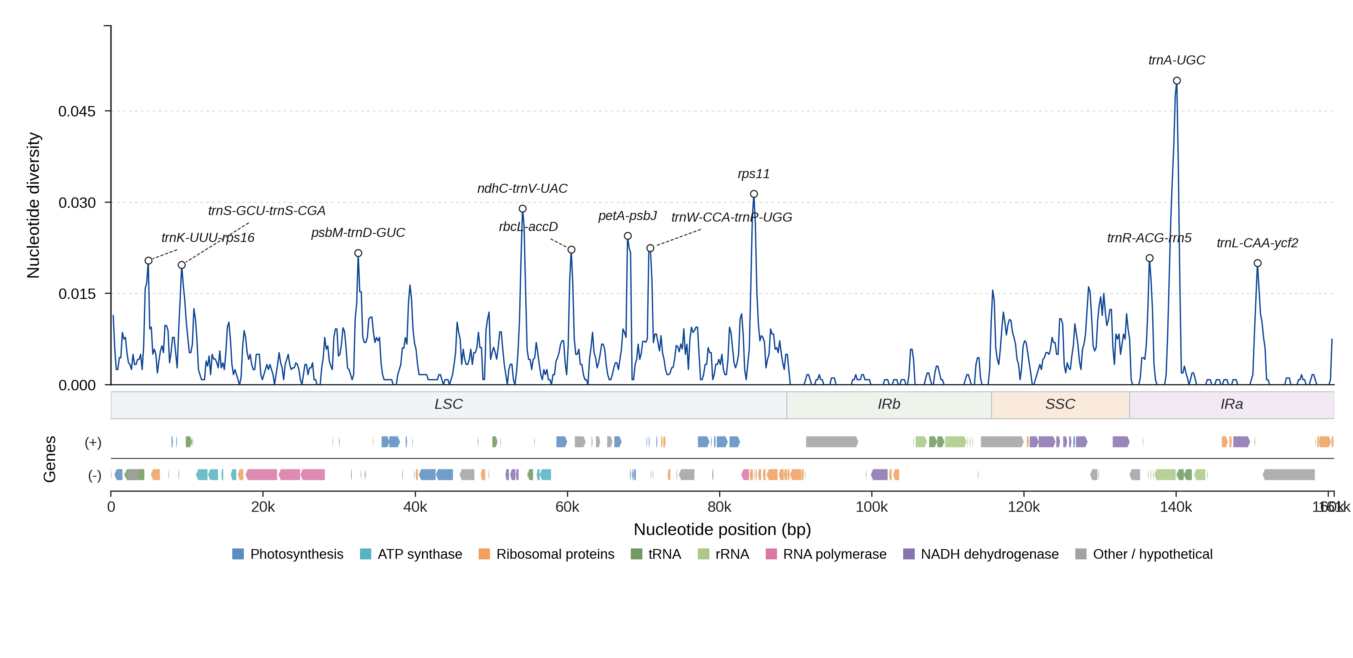 Sliding-window nucleotide diversity