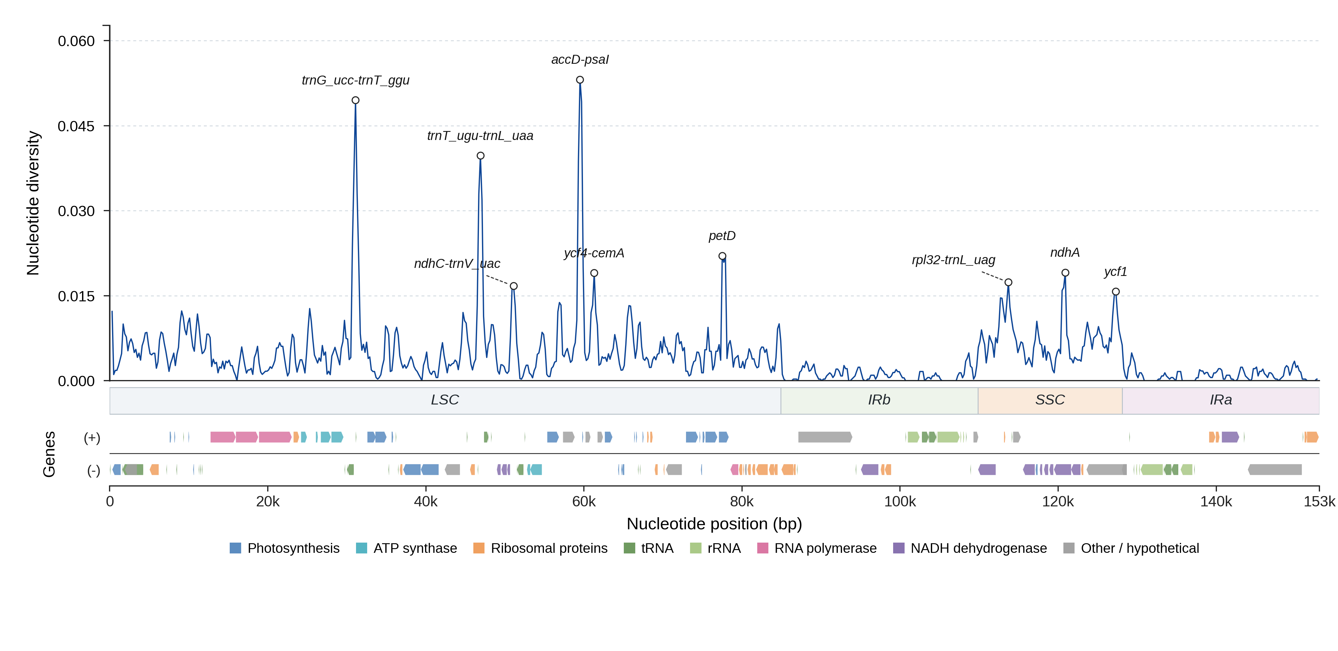 Sliding-window nucleotide diversity