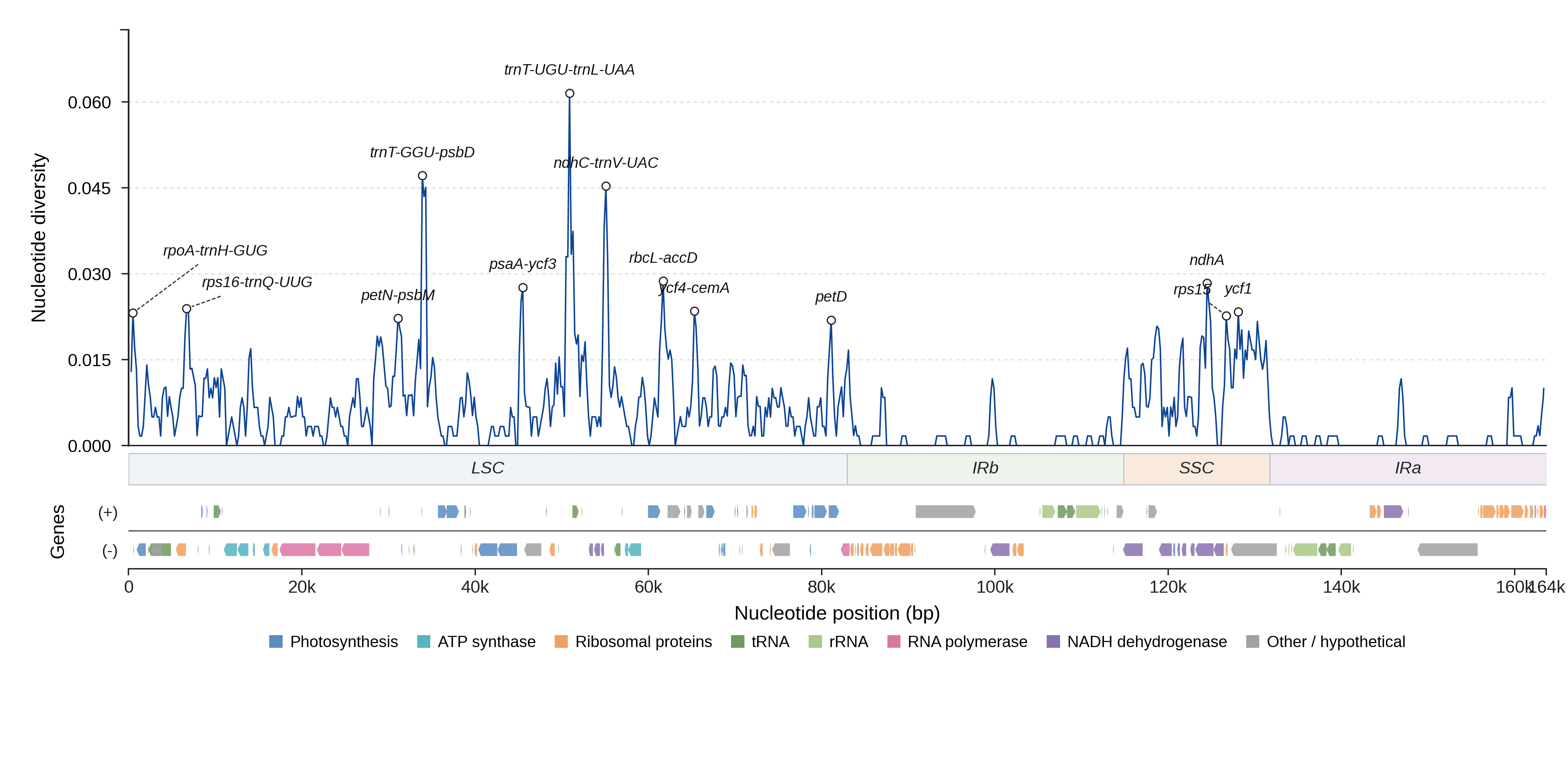 Sliding-window nucleotide diversity