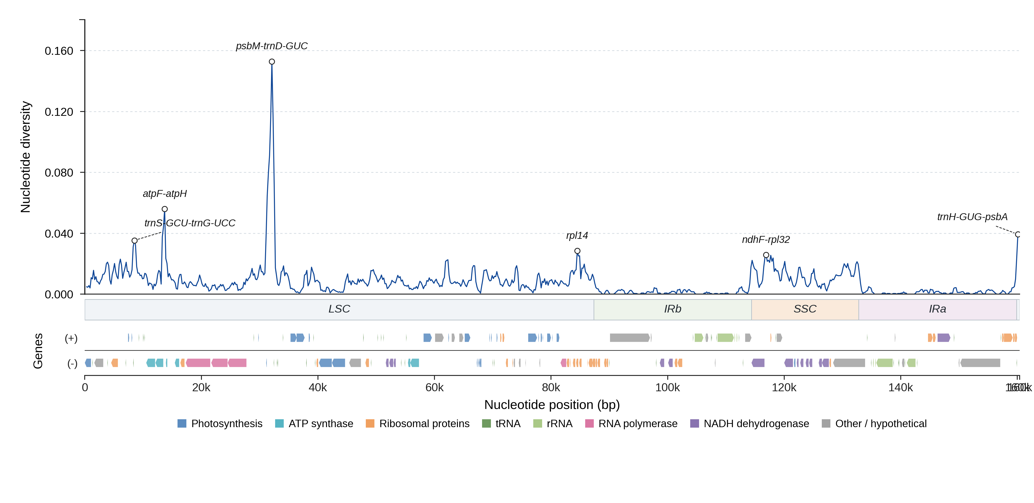 Sliding-window nucleotide diversity