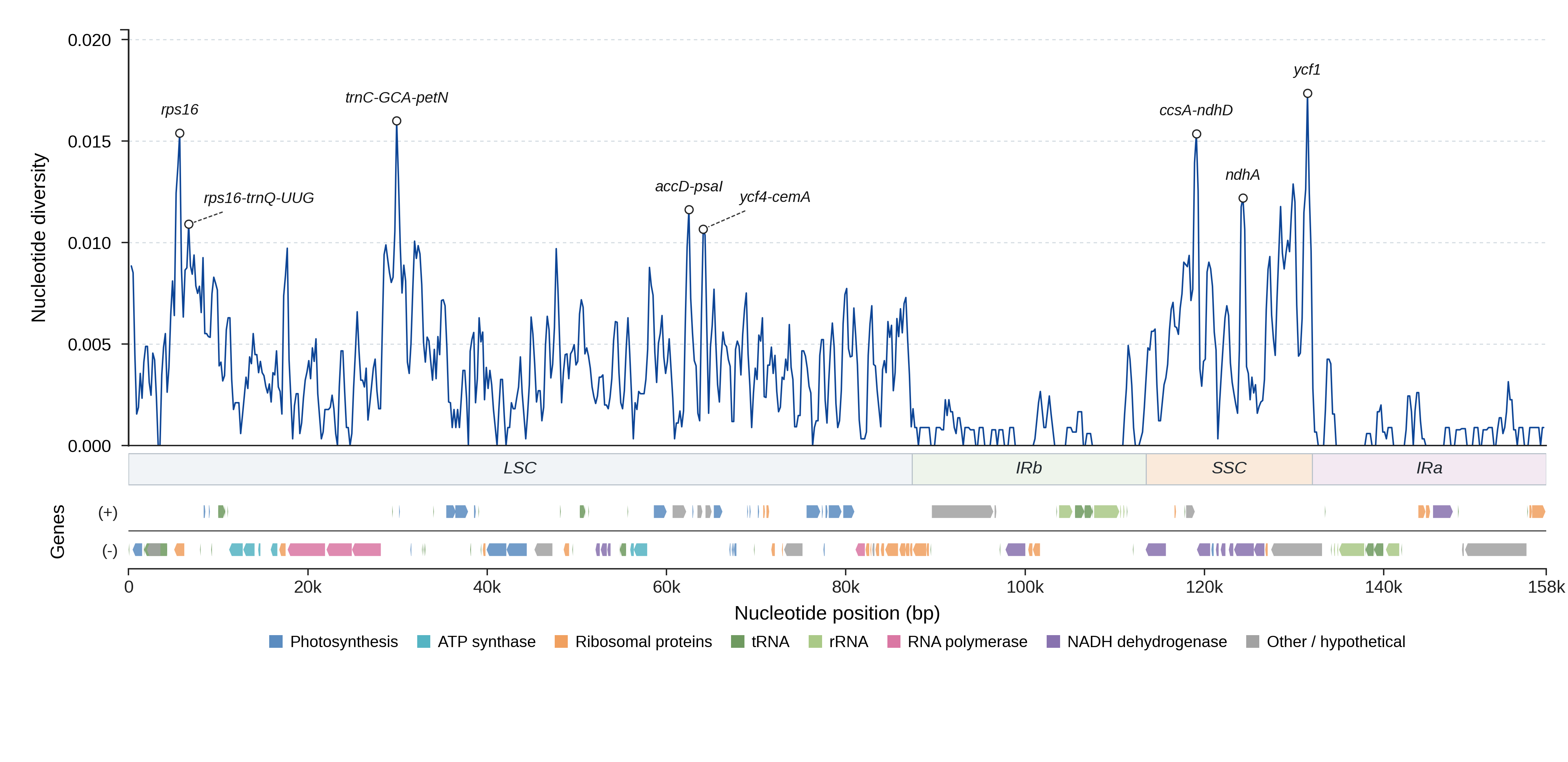 Sliding-window nucleotide diversity