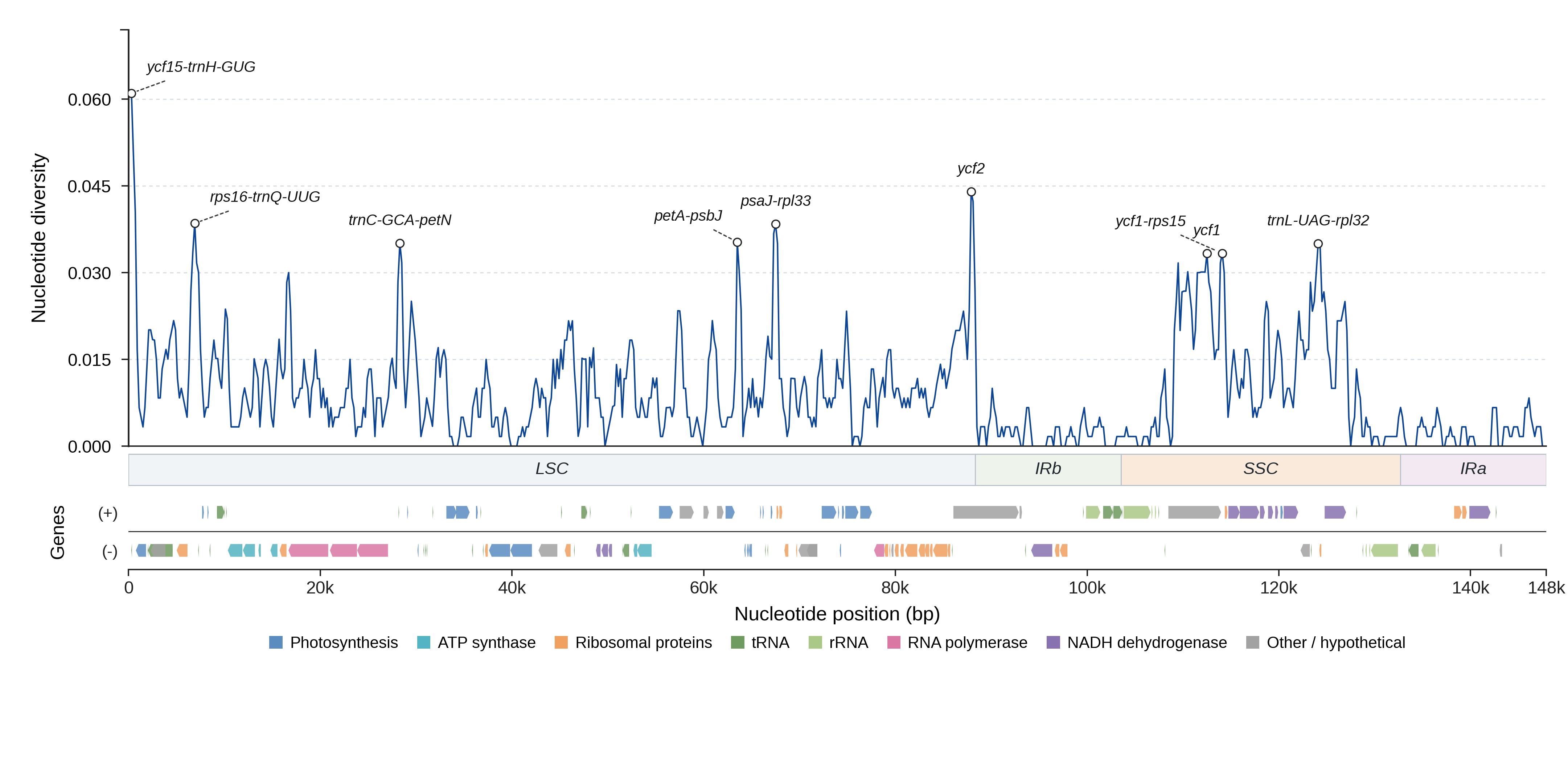 Sliding-window nucleotide diversity