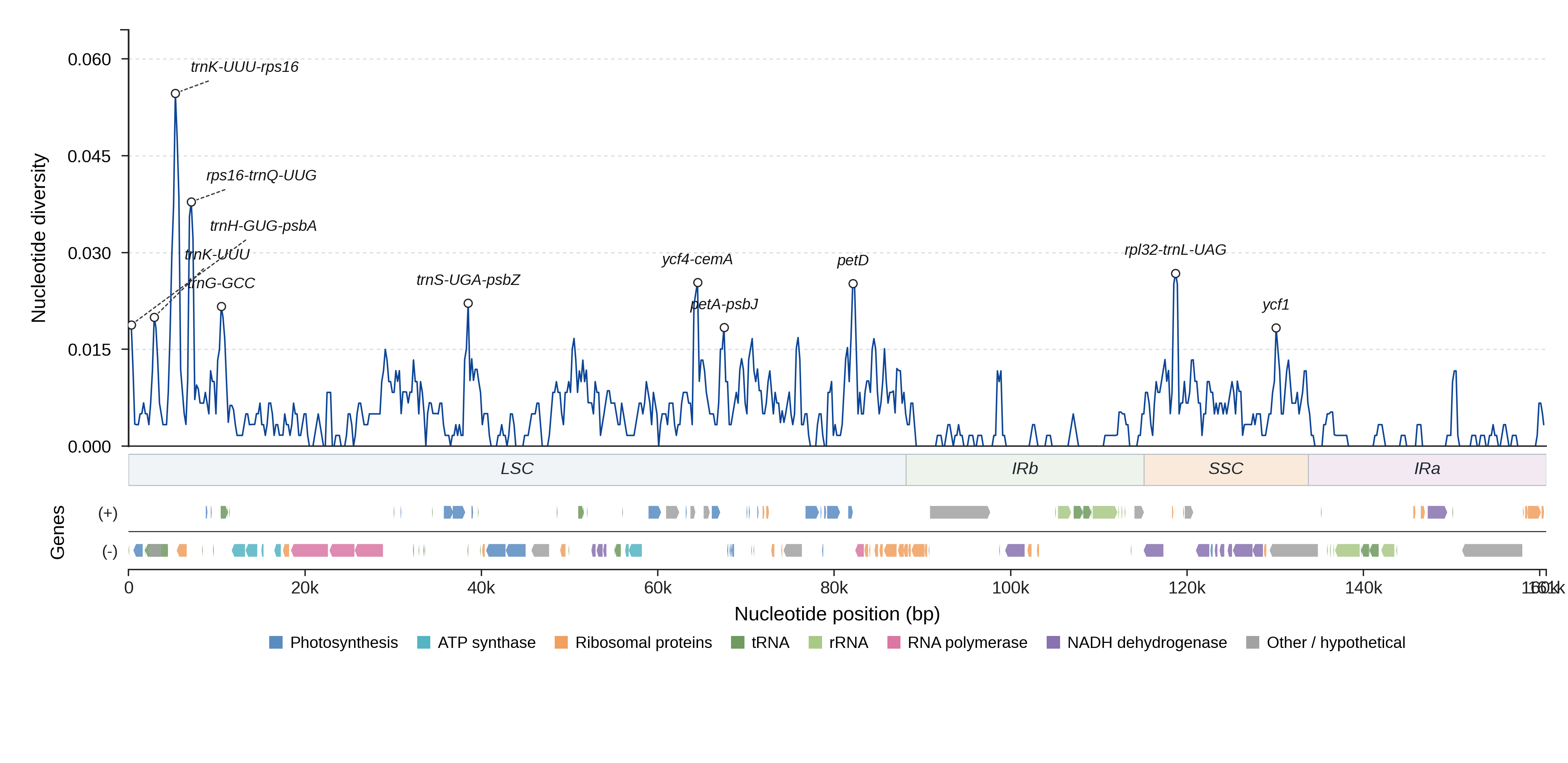 Sliding-window nucleotide diversity