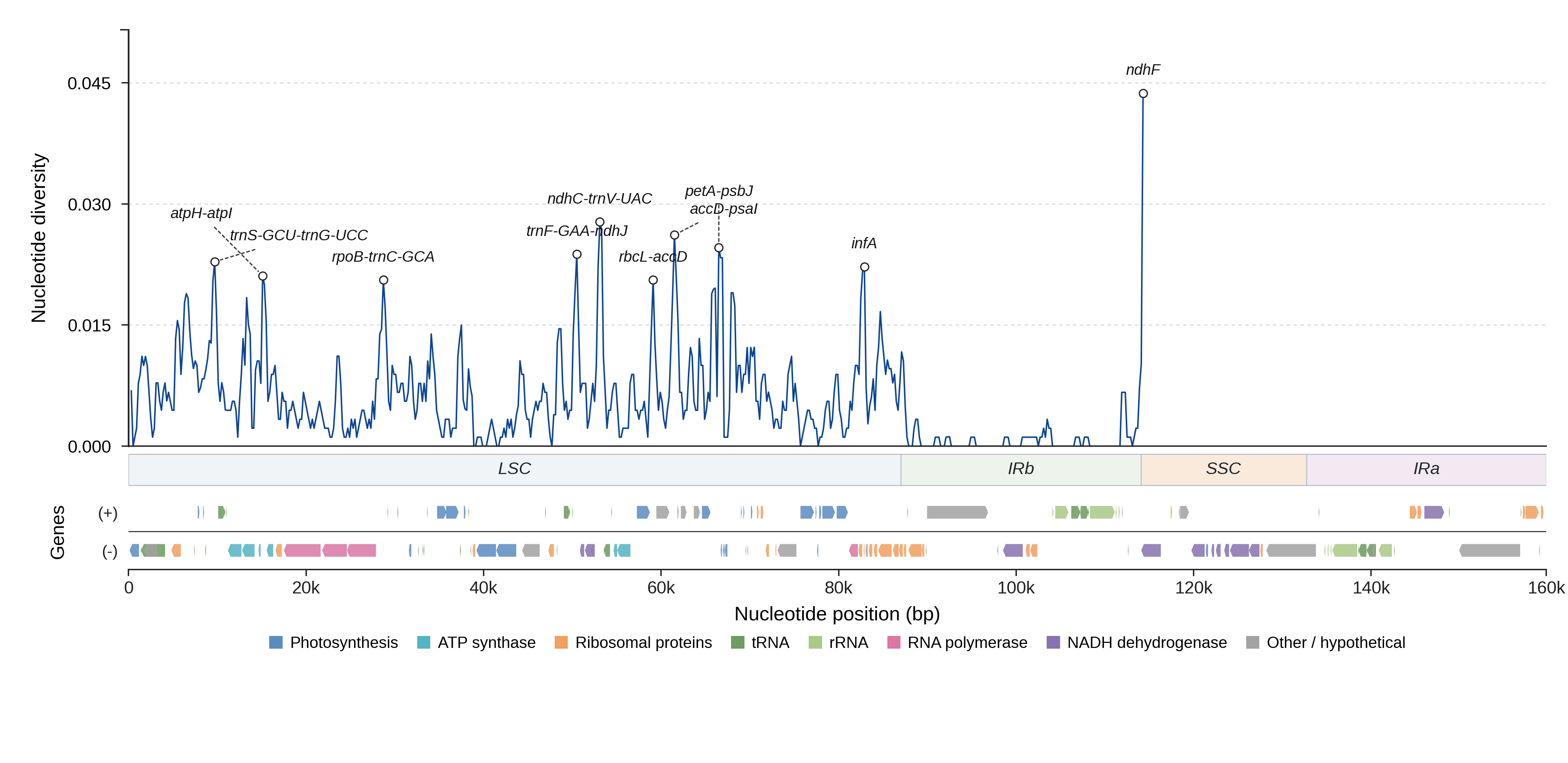 Sliding-window nucleotide diversity