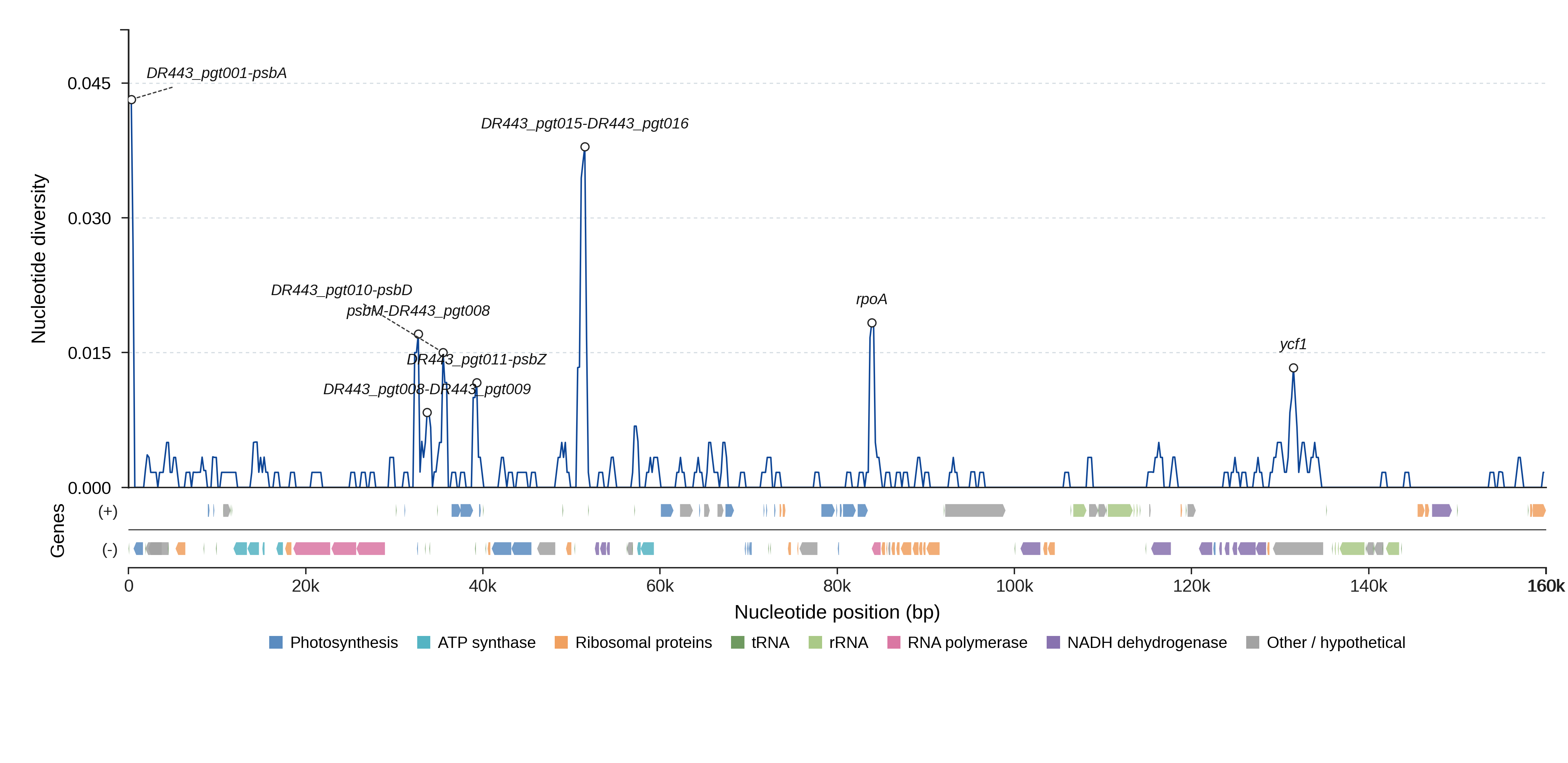Sliding-window nucleotide diversity