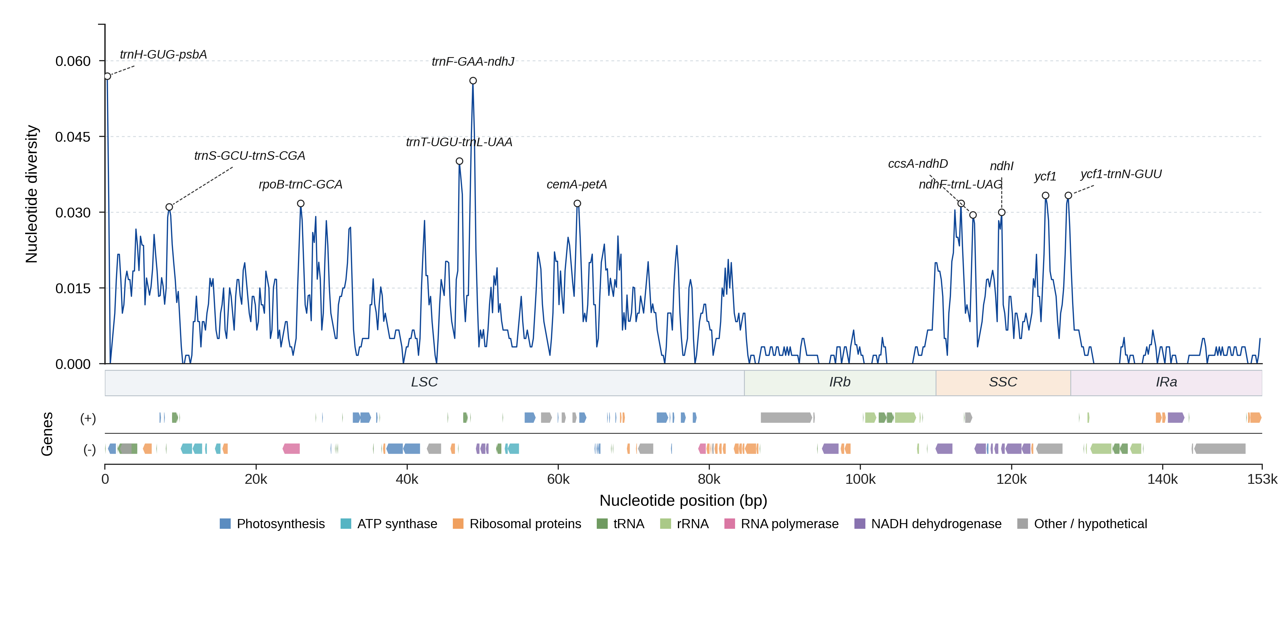 Sliding-window nucleotide diversity