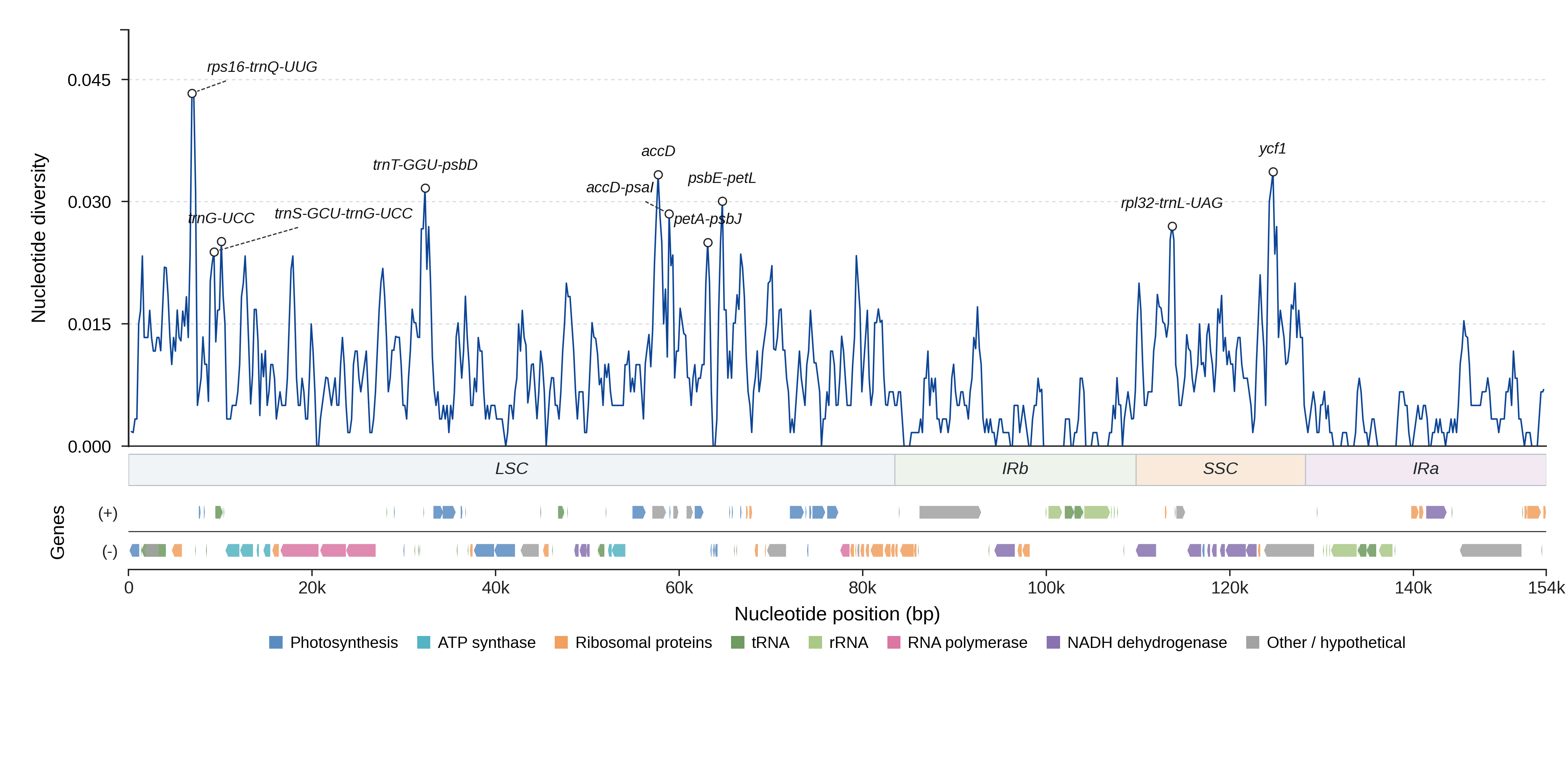 Sliding-window nucleotide diversity