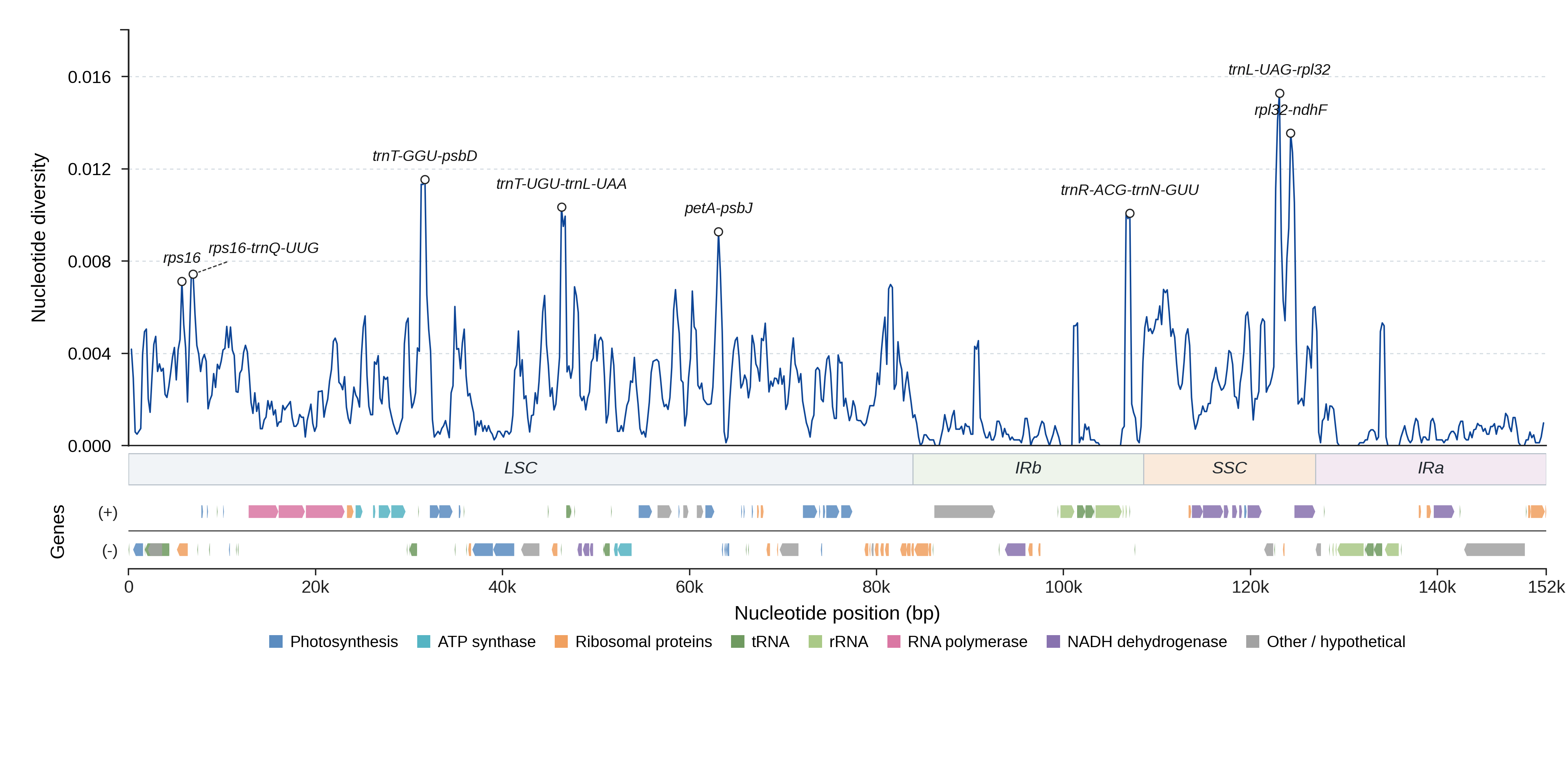 Sliding-window nucleotide diversity