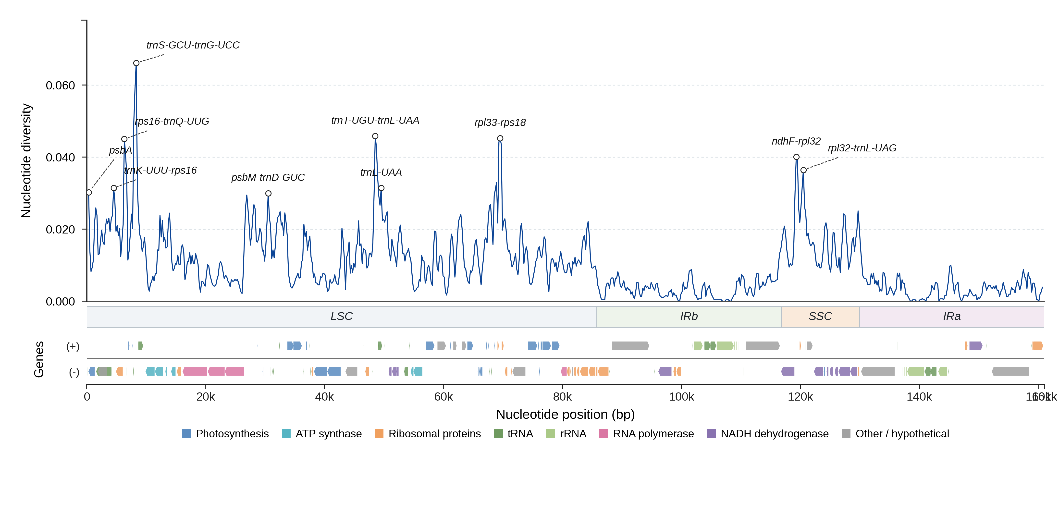 Sliding-window nucleotide diversity