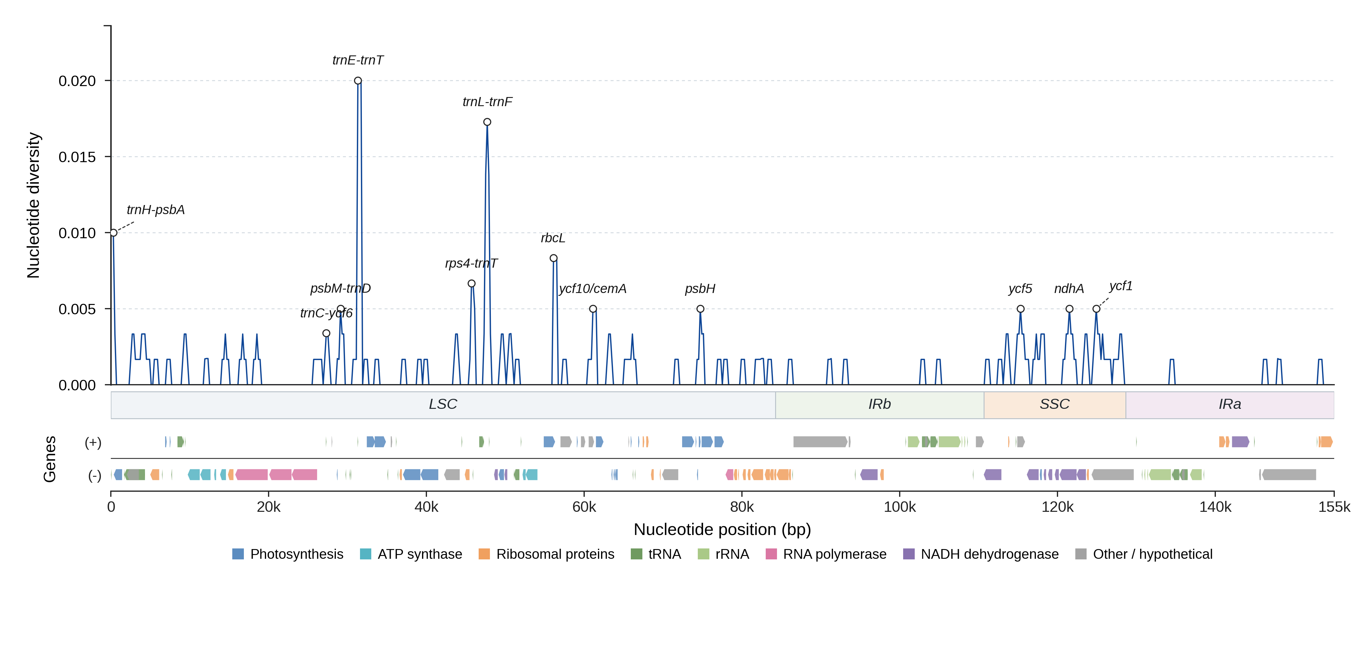 Sliding-window nucleotide diversity