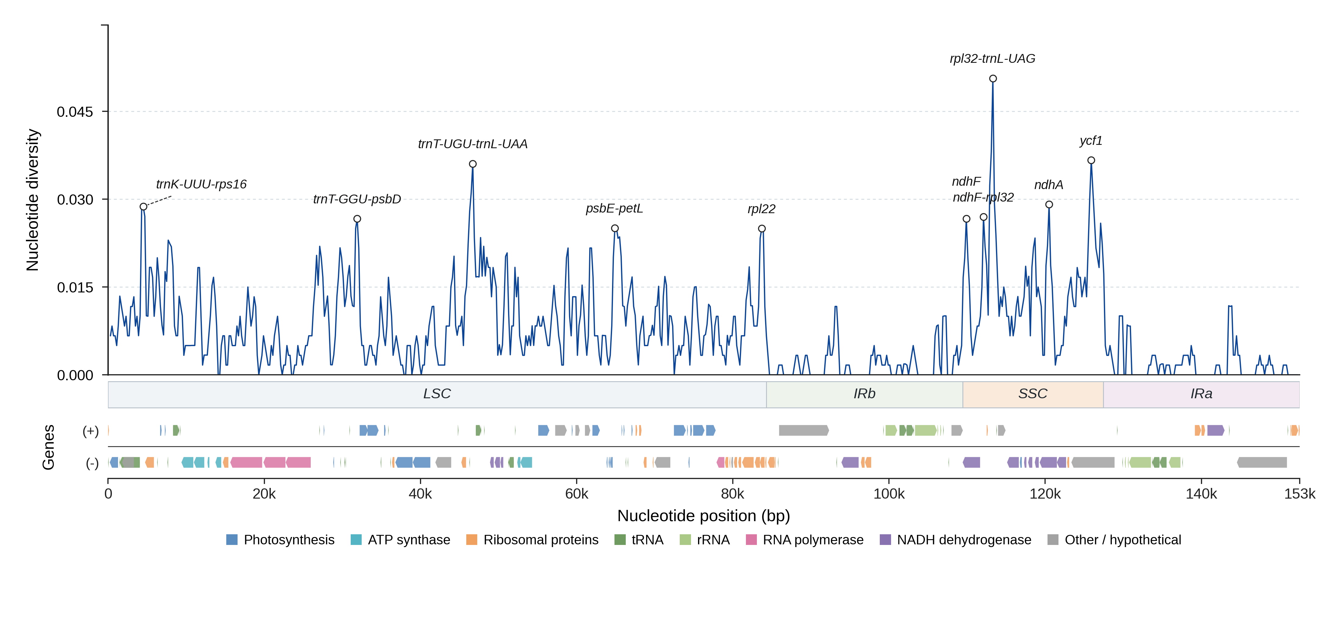 Sliding-window nucleotide diversity